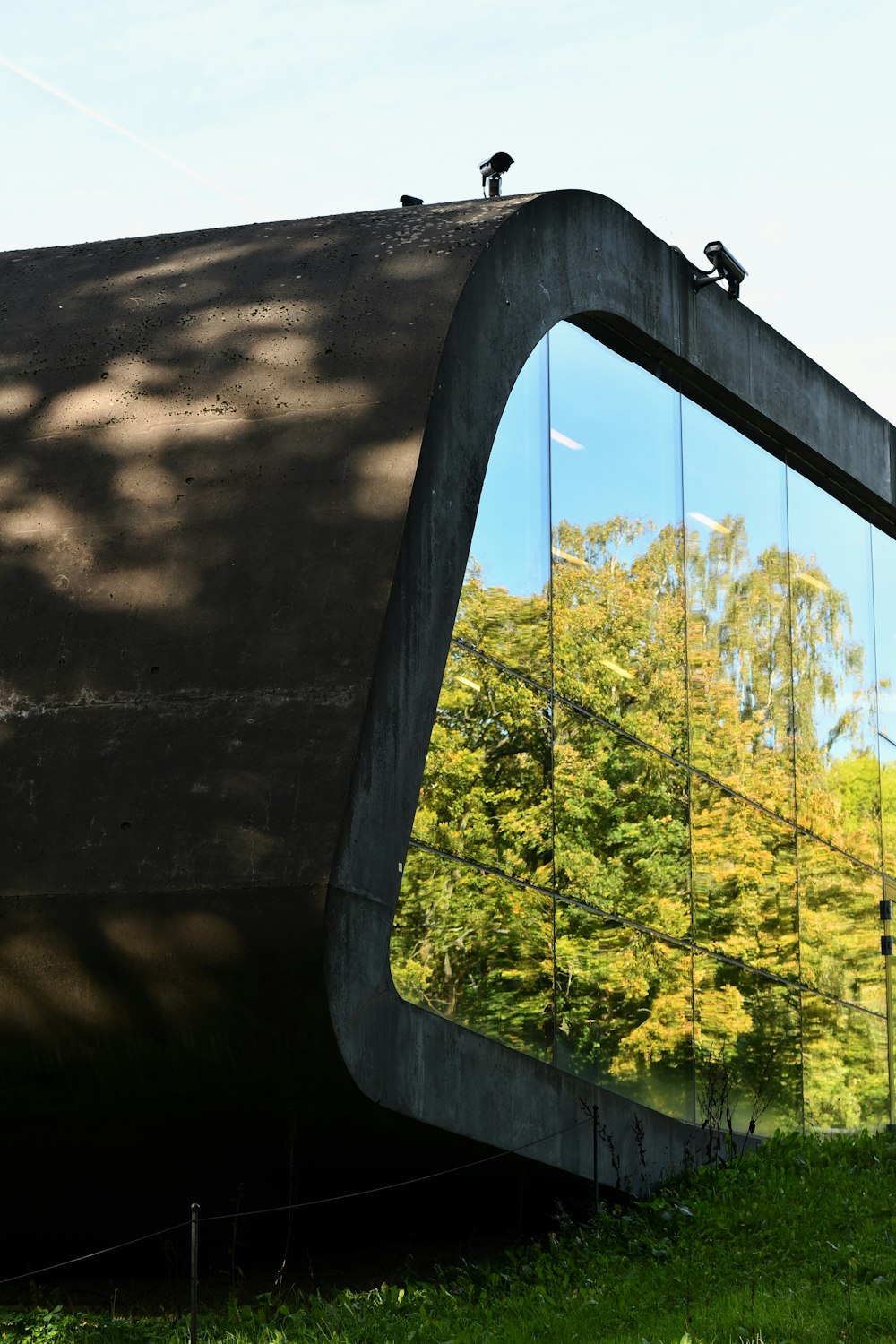 a large mirror reflecting a tree in the grass