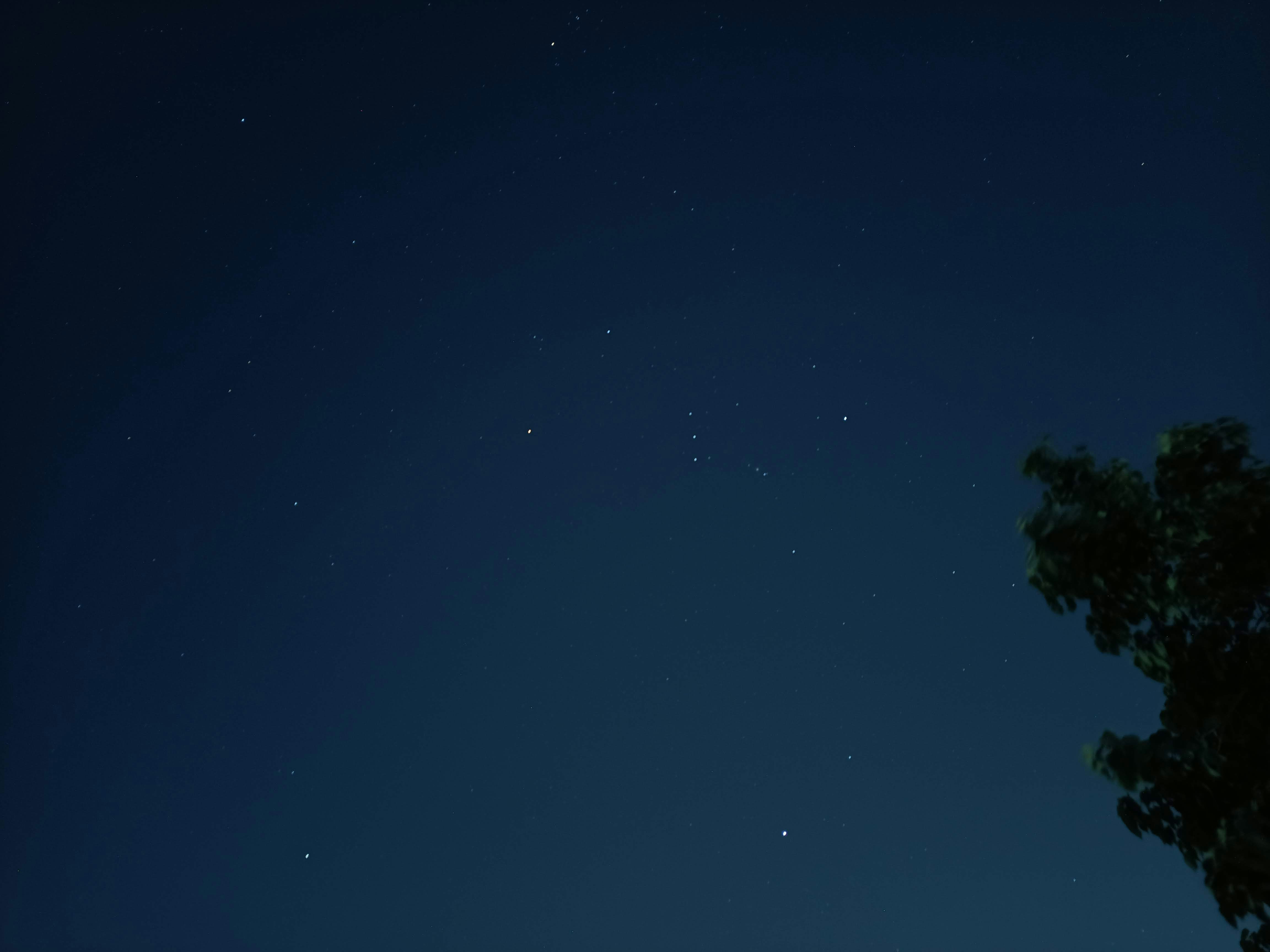 Photo by jinishshah_