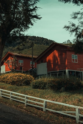 Two red wooden houses are set in a lush, green, hilly landscape. The foreground features a white wooden fence and a road running alongside manicured bushes and tall grasses. Trees surround the area, adding to the rural, serene atmosphere. Mountains are visible in the background under a clear sky, suggesting a peaceful countryside setting.