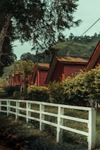 Several red-roofed wooden cabins are lined up along a path, surrounded by lush greenery and trees. A white wooden fence runs parallel to the row of cabins, delineating a boundary. In the background, there are hilly landscapes covered with trees.