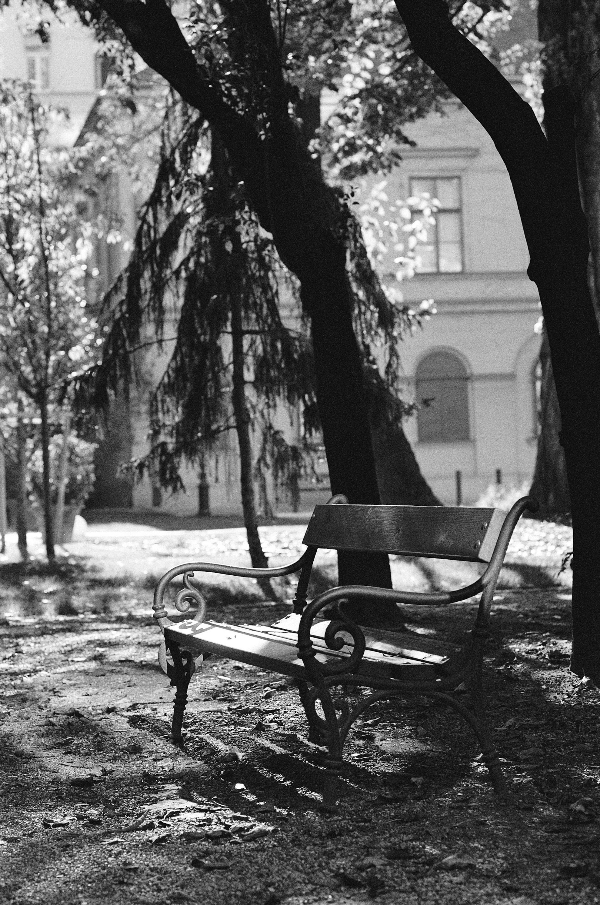 Photo by stachmann