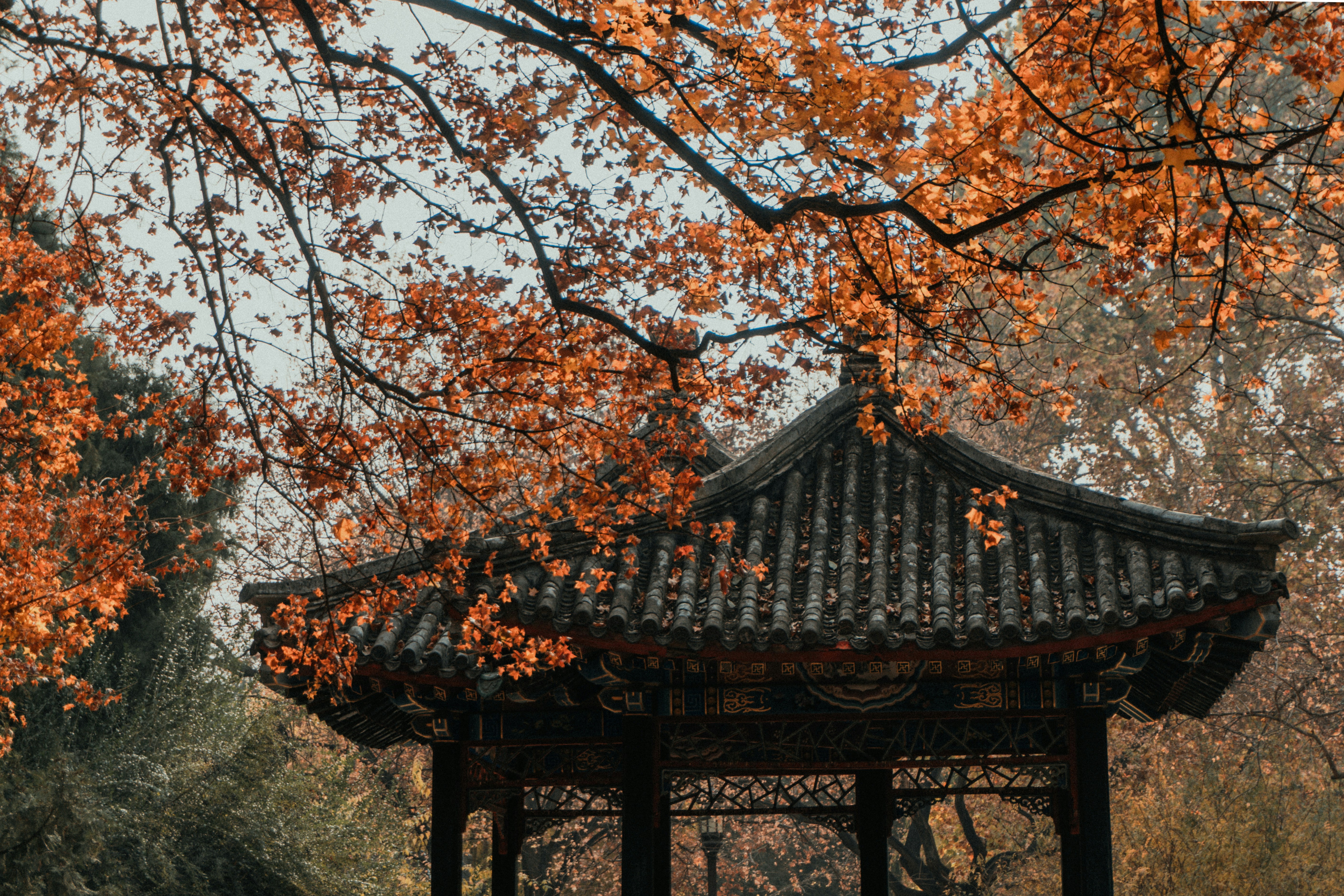 Photo by albert_canite