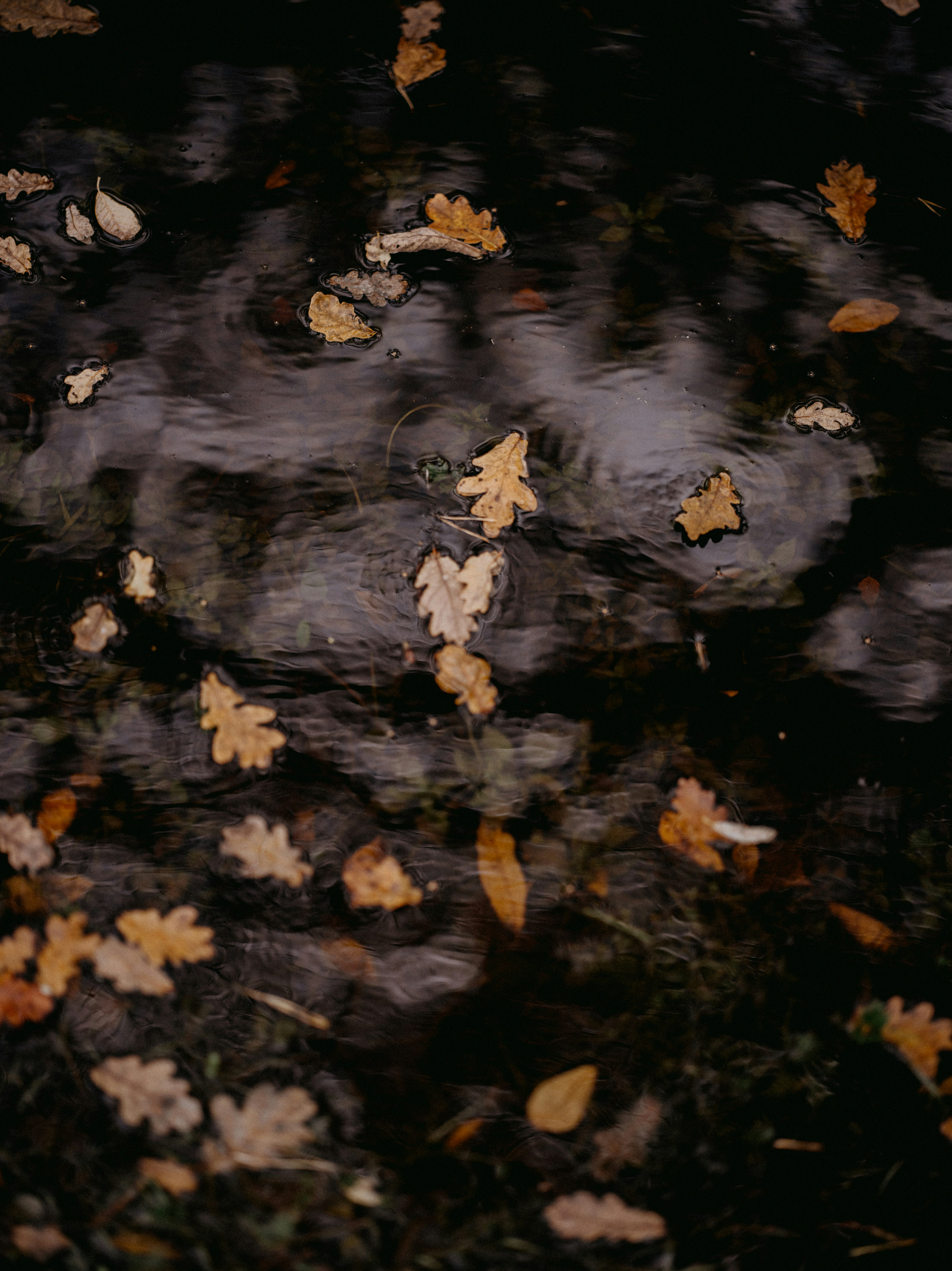 Photo by anniespratt
