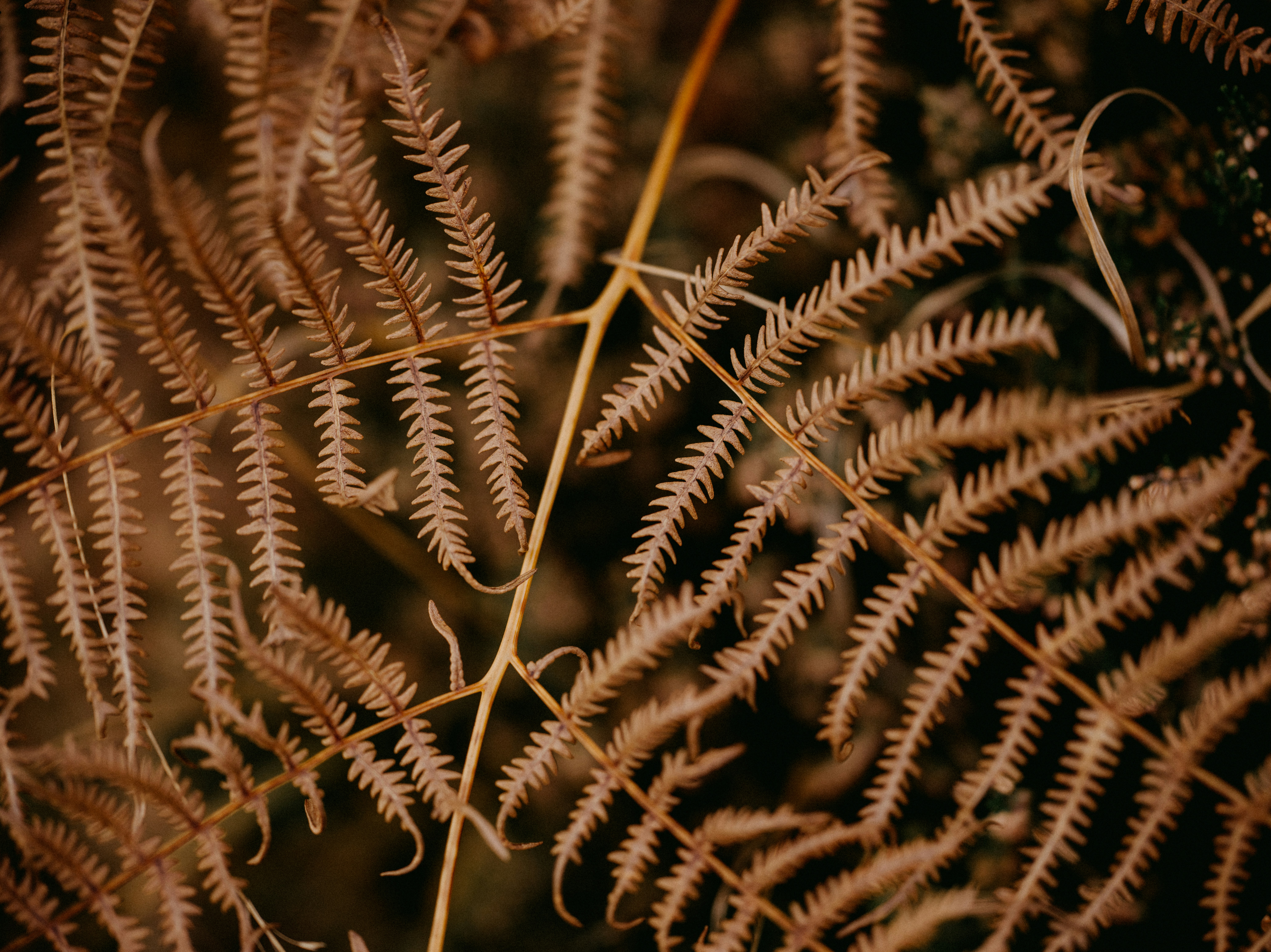 Photo by anniespratt