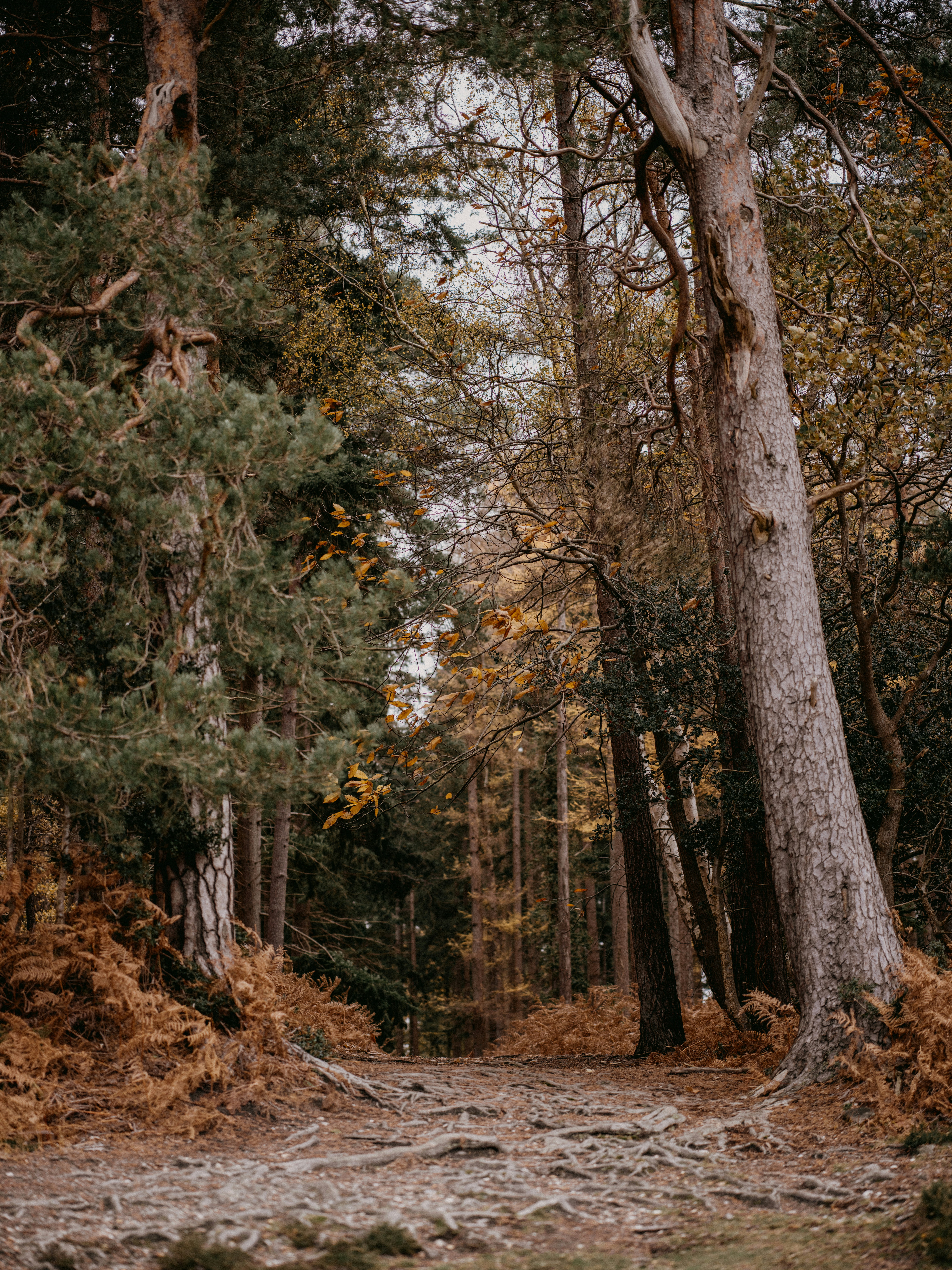 Photo by anniespratt