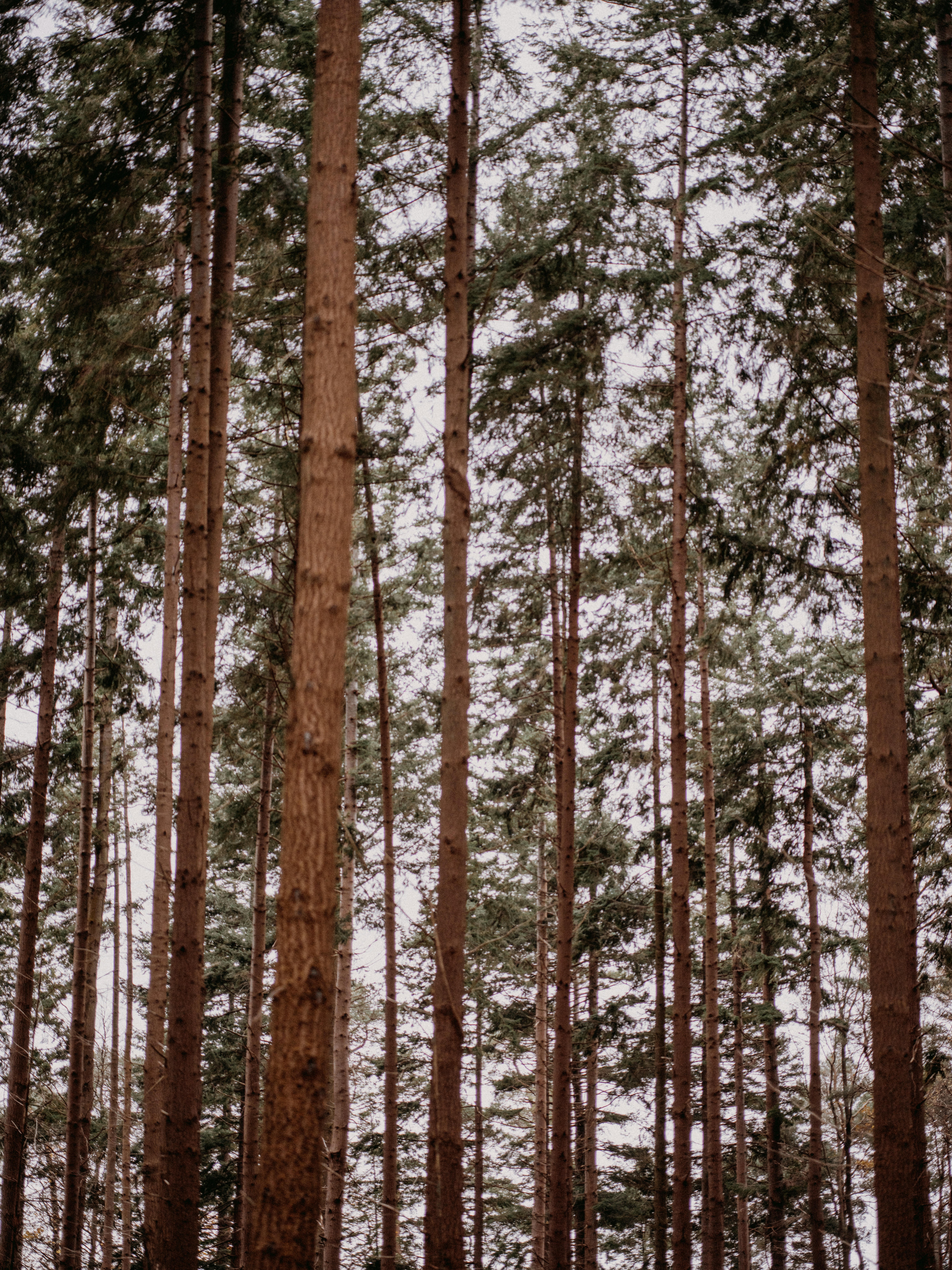 Photo by anniespratt