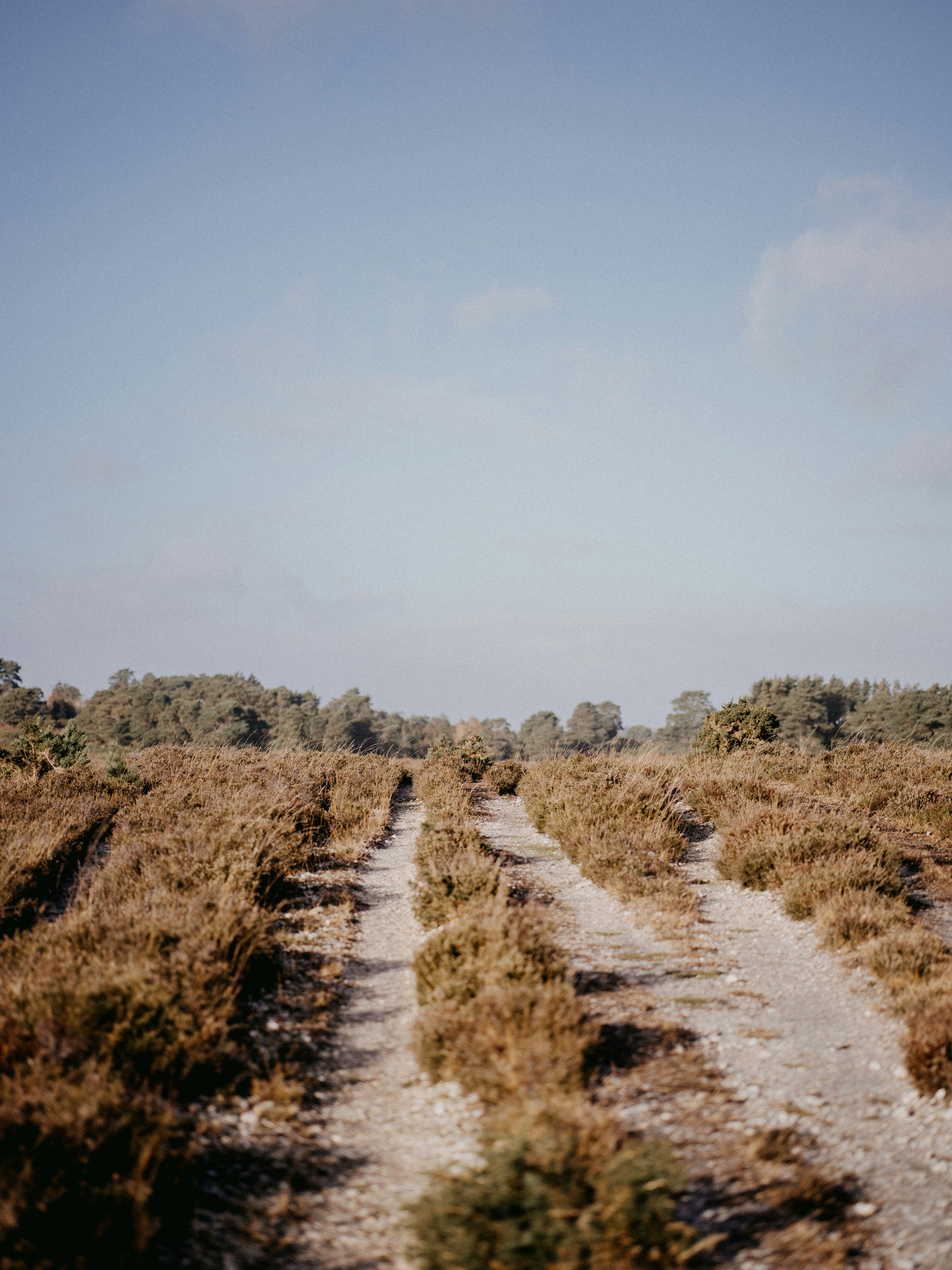 Photo by anniespratt