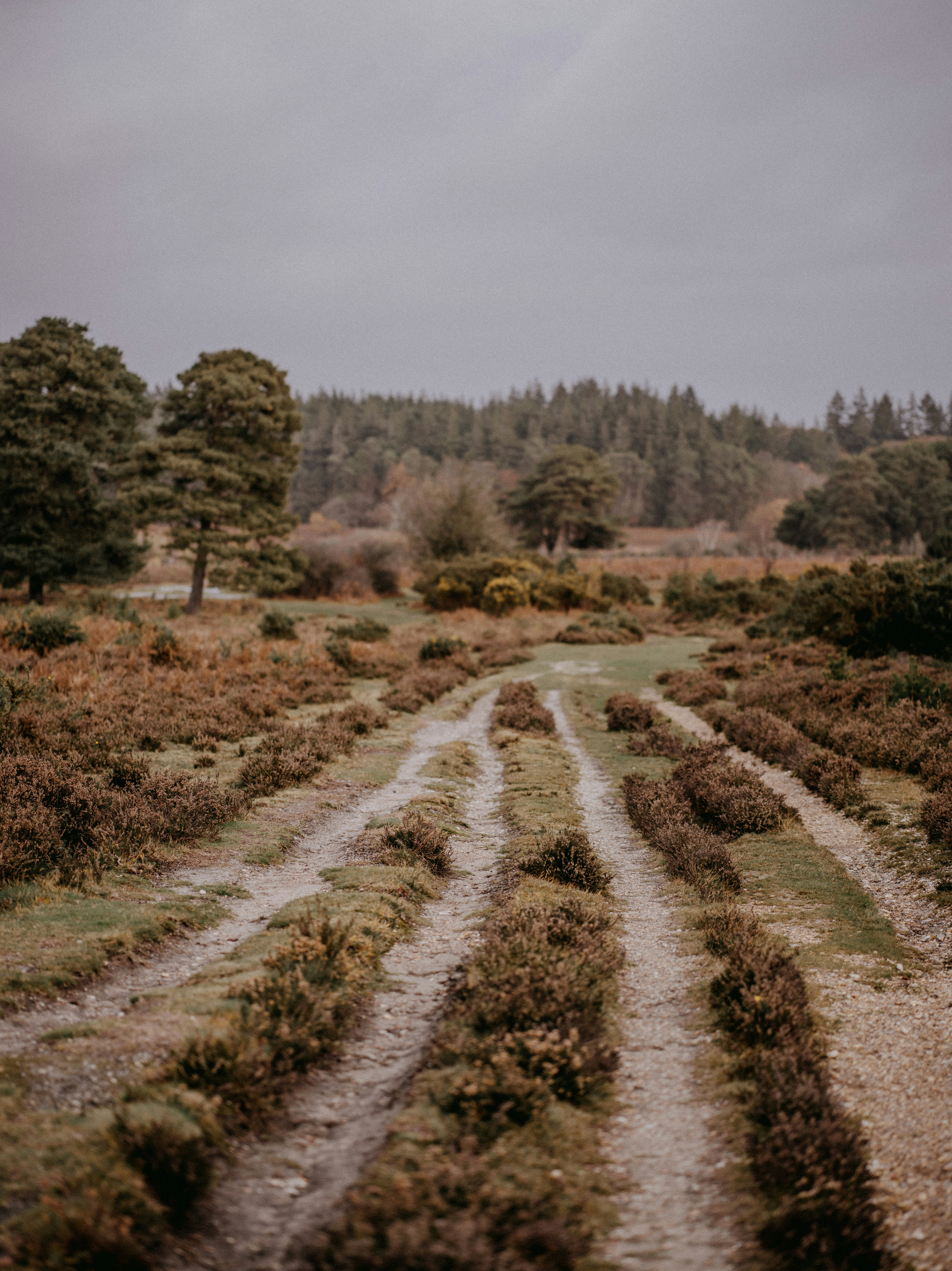 Photo by anniespratt