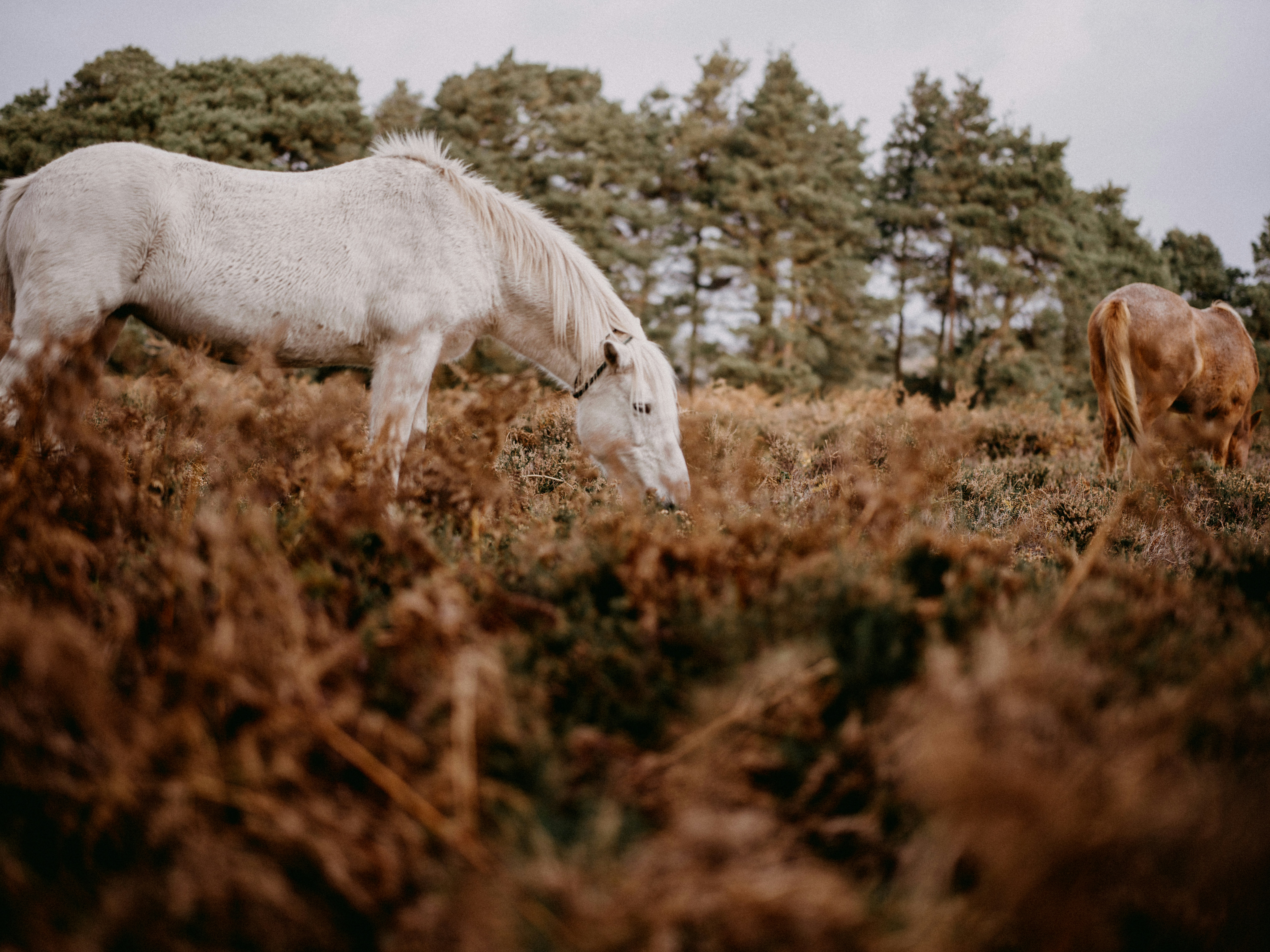 Photo by anniespratt