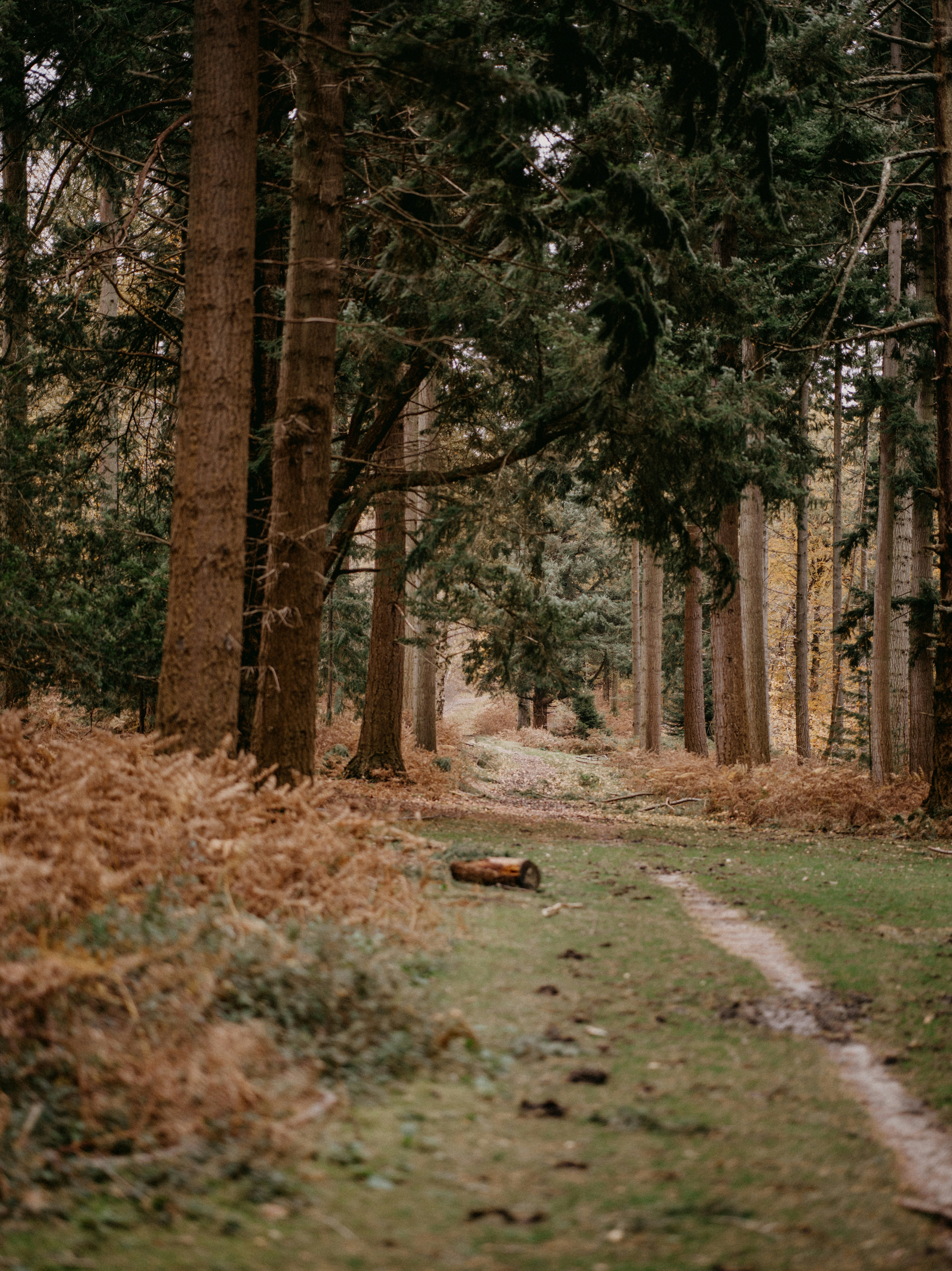 Photo by anniespratt