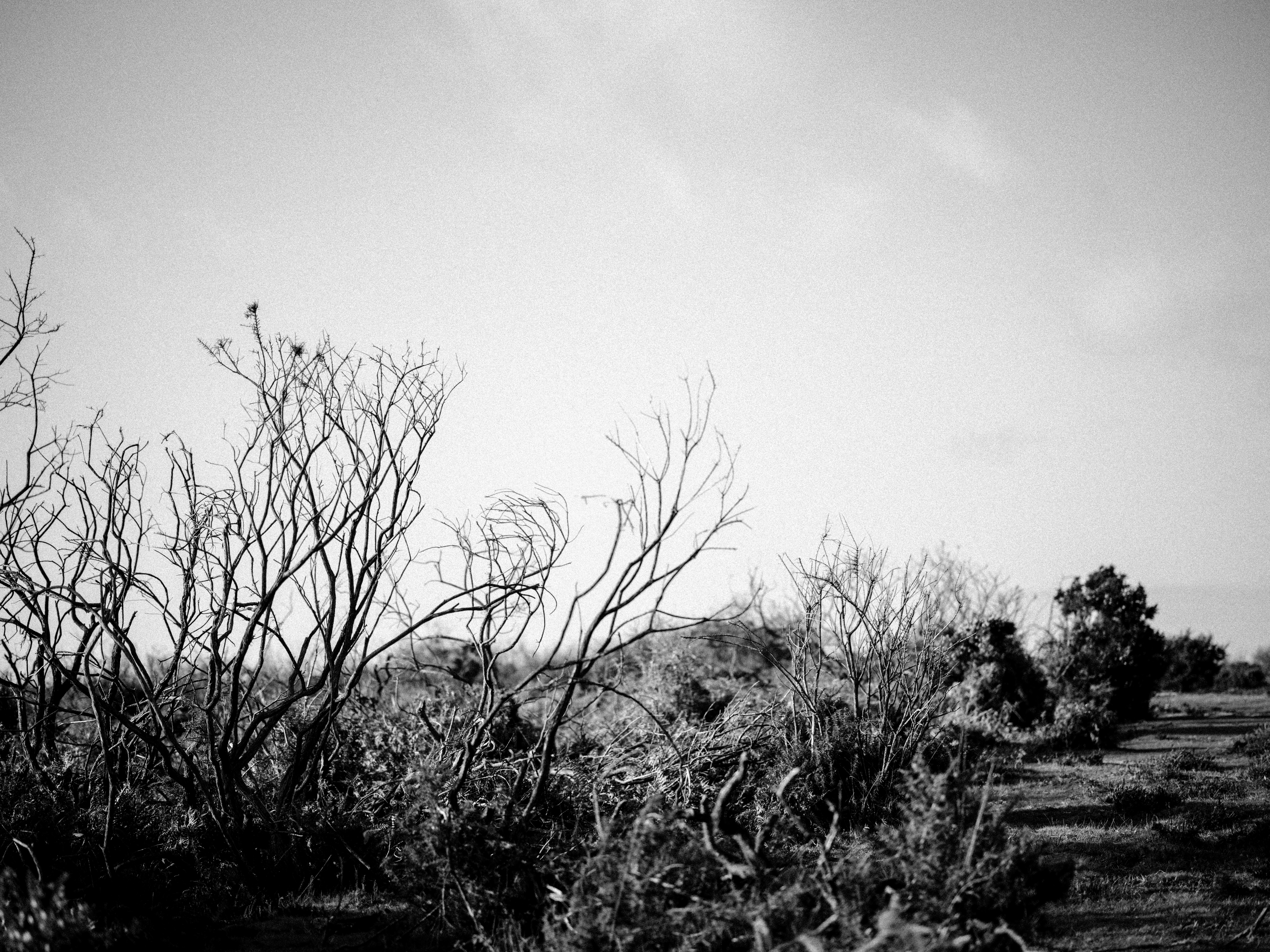 Photo by anniespratt