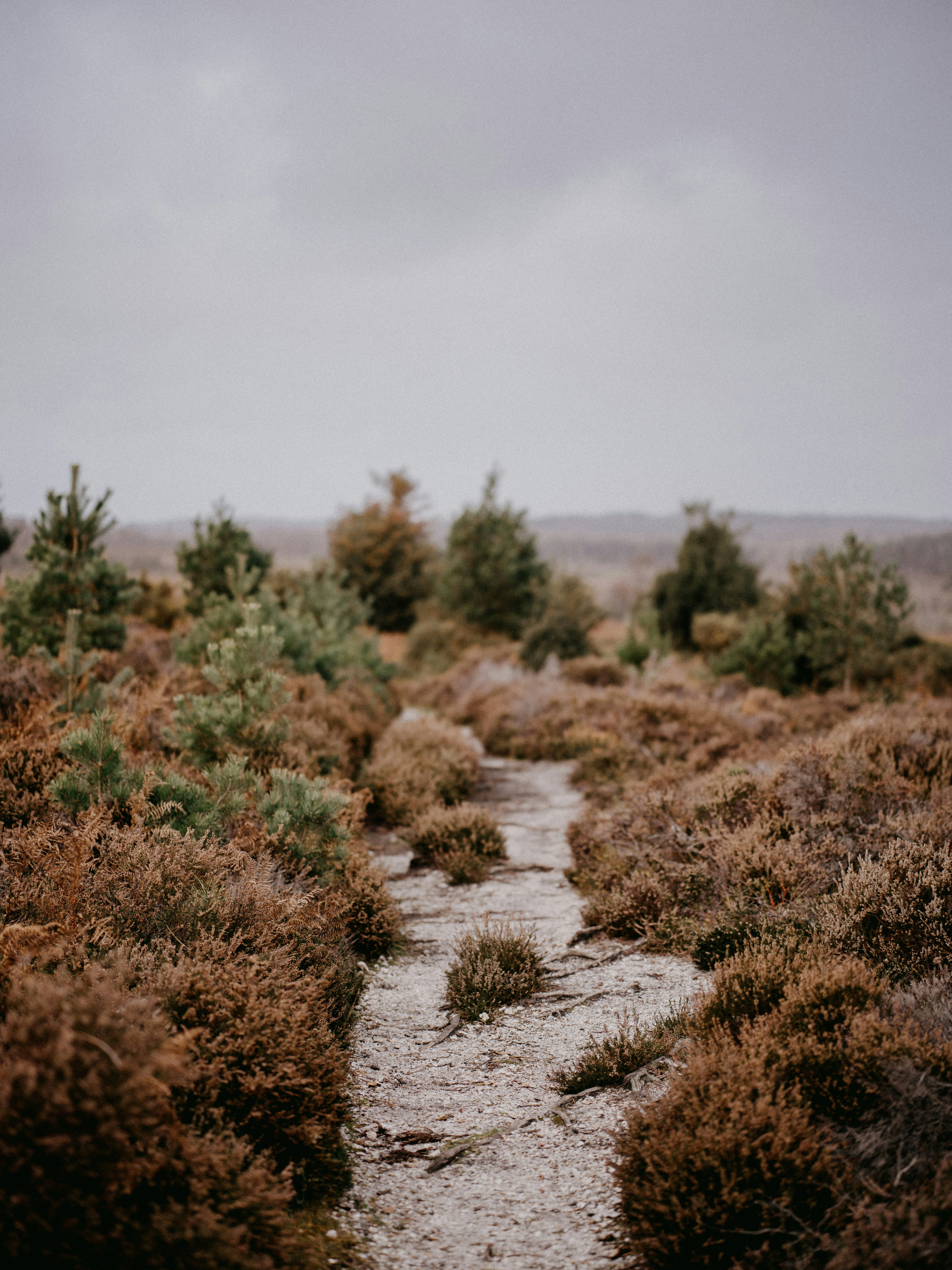 Photo by anniespratt