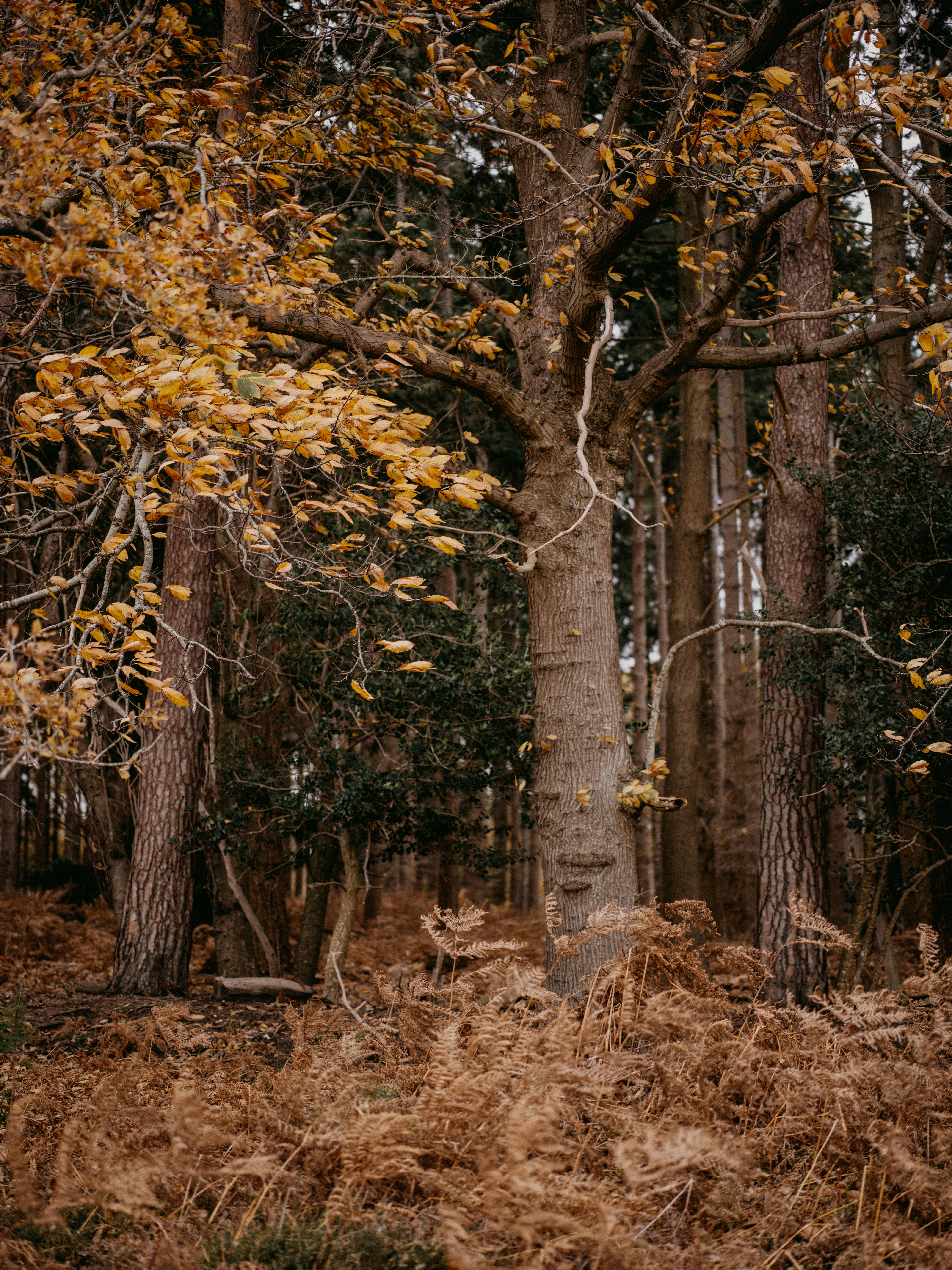 Photo by anniespratt