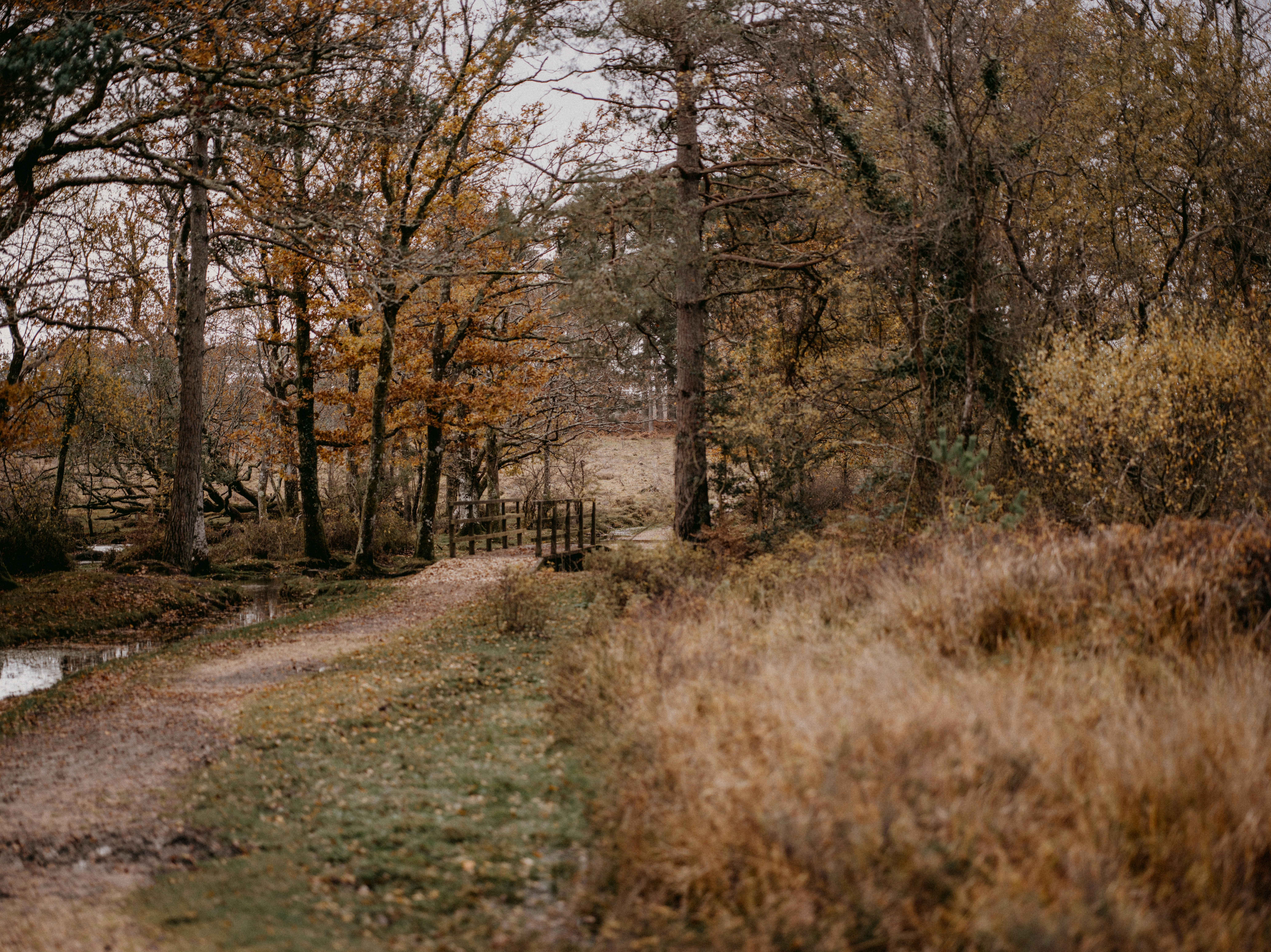 Photo by anniespratt