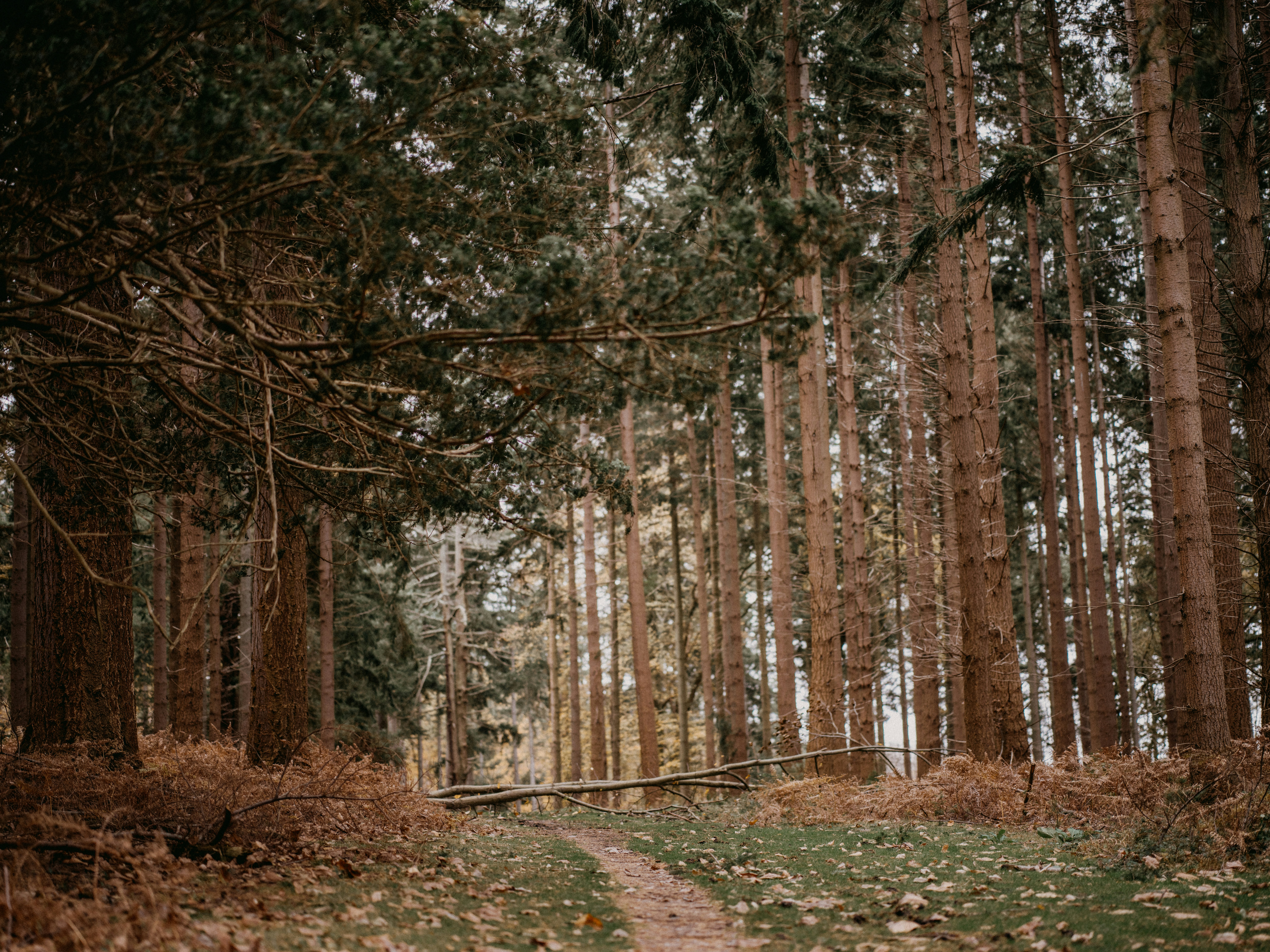 Photo by anniespratt