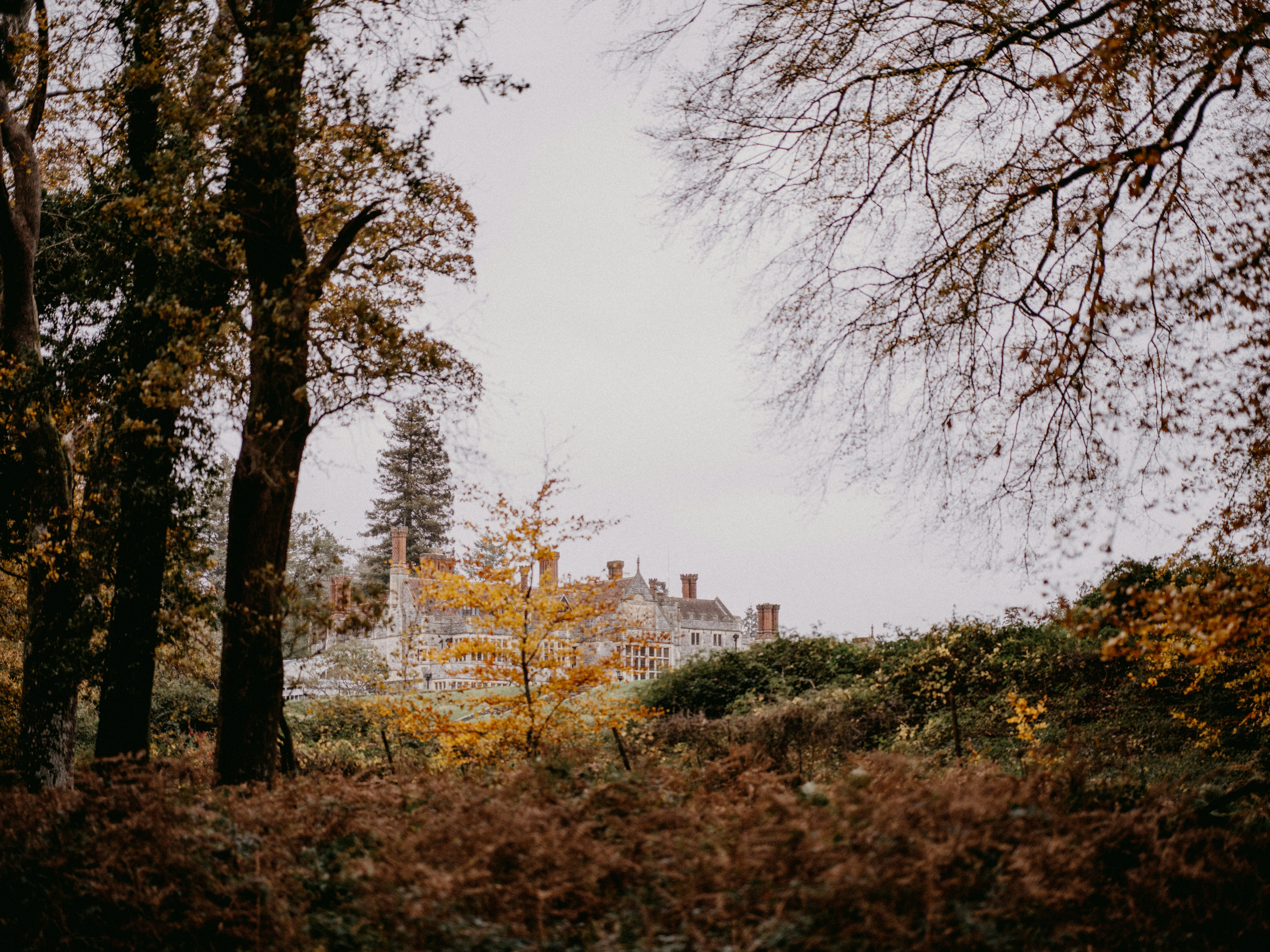 Photo by anniespratt