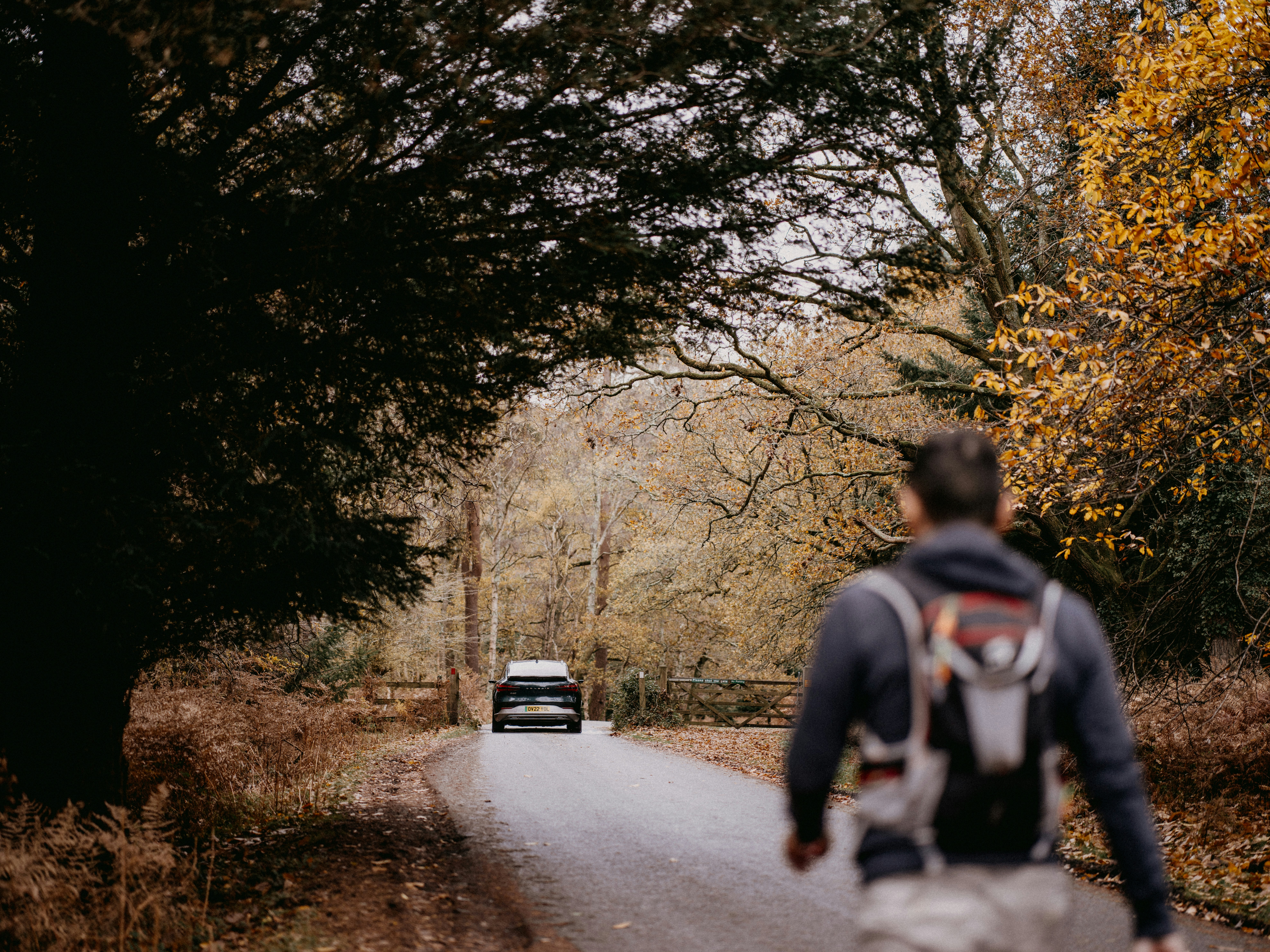 Photo by anniespratt