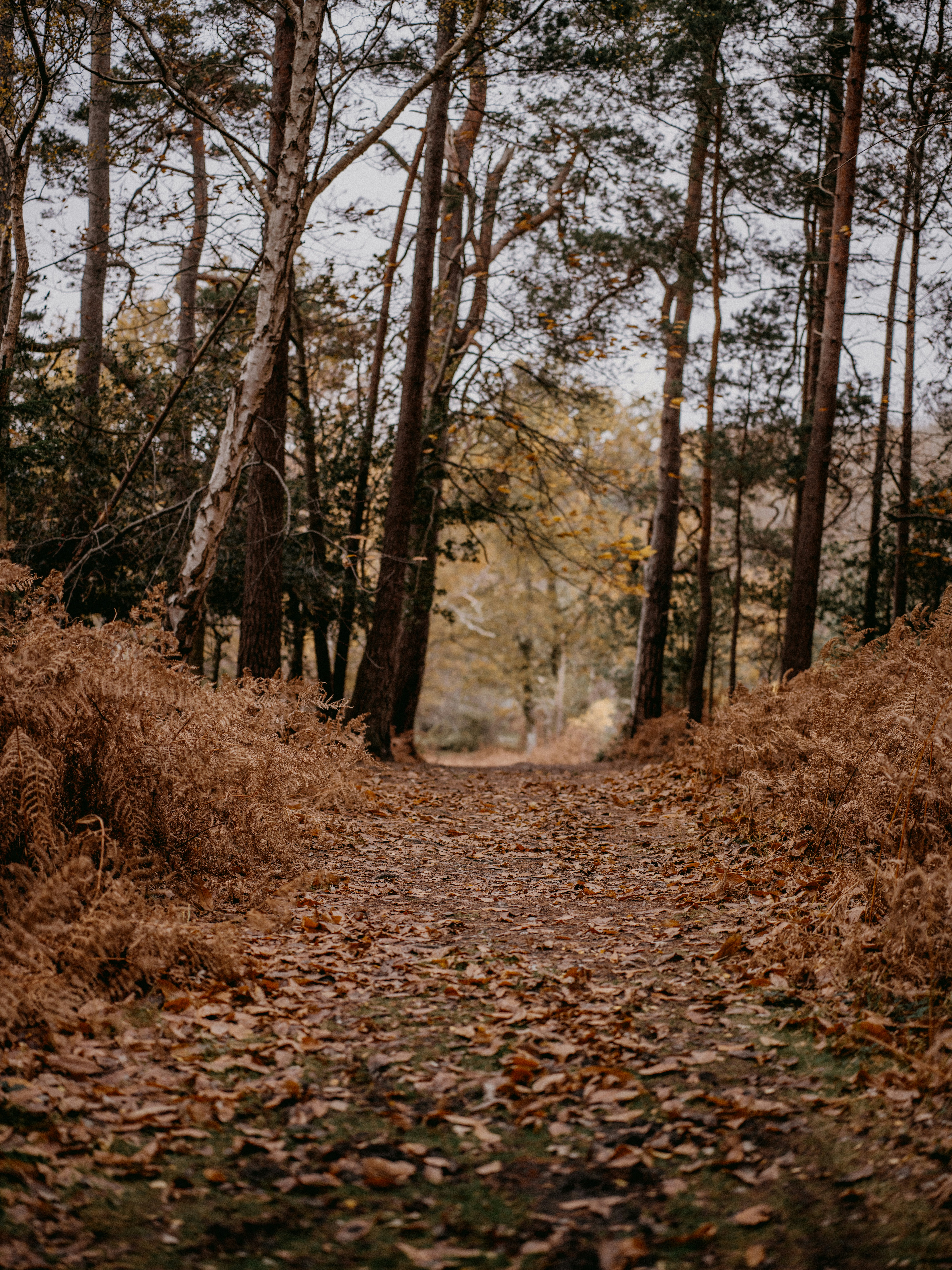 Photo by anniespratt