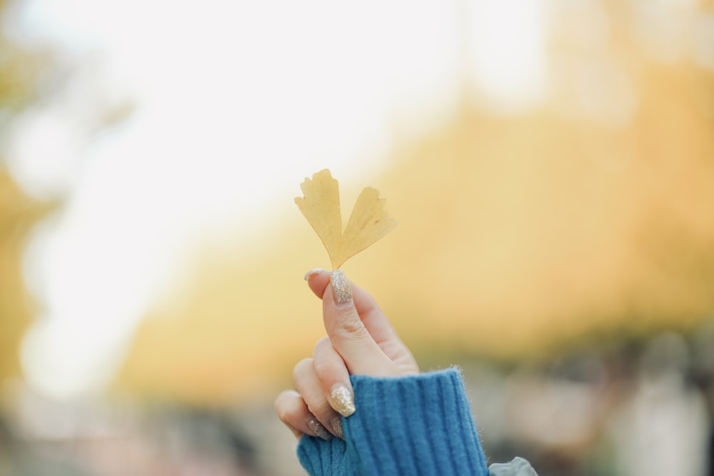 a person holding a small leaf in their hand