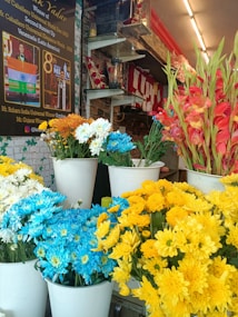 A floral shop display featuring a variety of colorful flowers including blue, yellow, white, and red. The flowers are arranged in white cylindrical vases, placed in front of a brick wall. Above the flowers is a poster with photos and text detailing achievements in a pageant or competition. The shop has shelves with various items including a blender and other small objects. Bright lighting from above illuminates the scene.