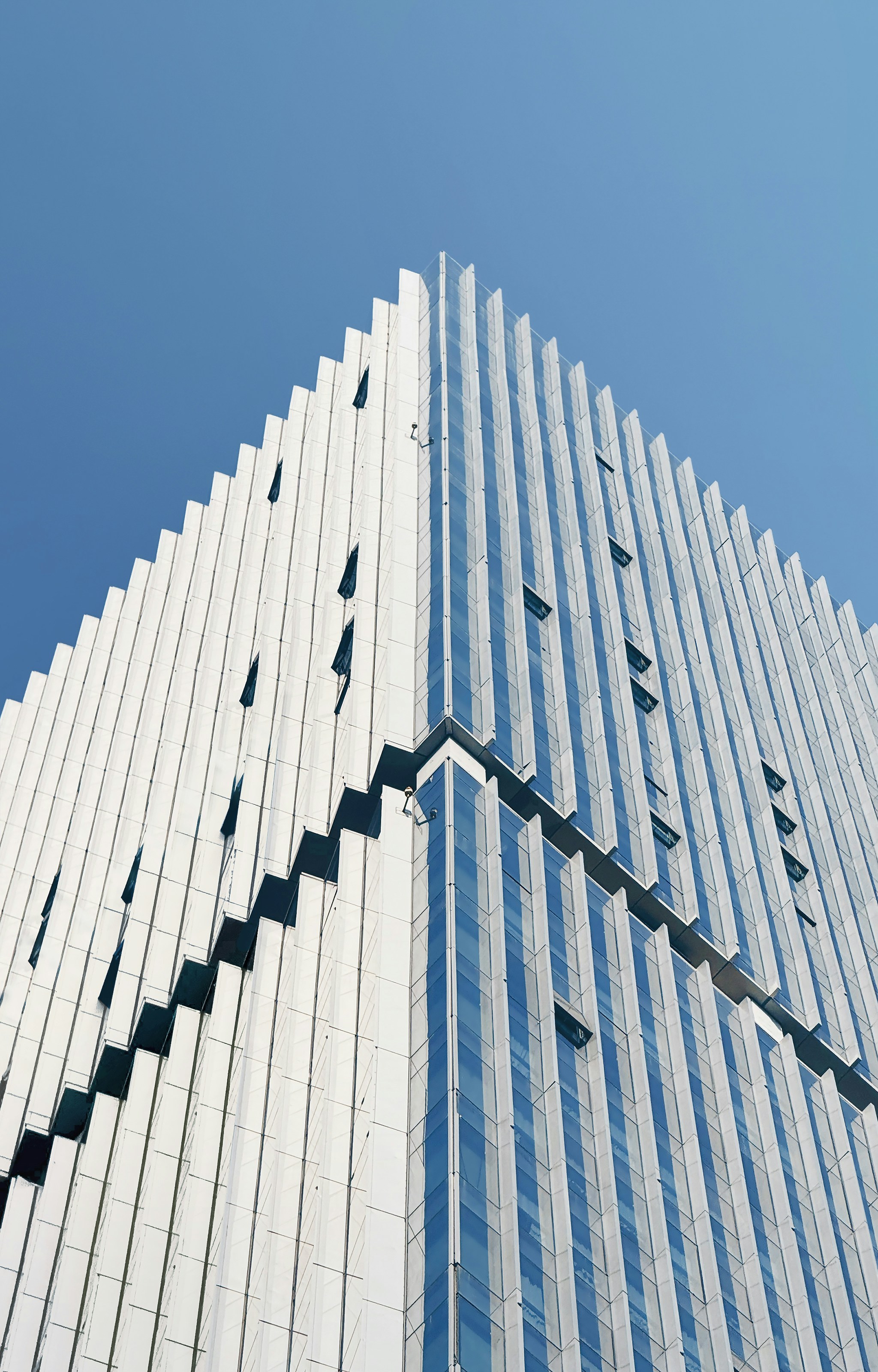 Photo by lilidongdong