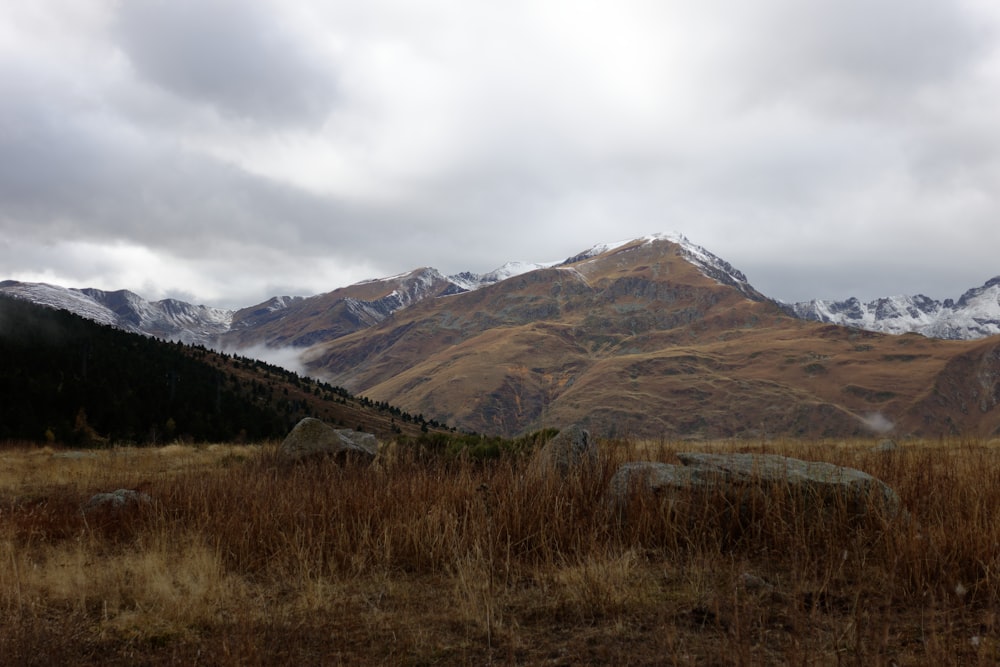 a grassy field with mountains in the background