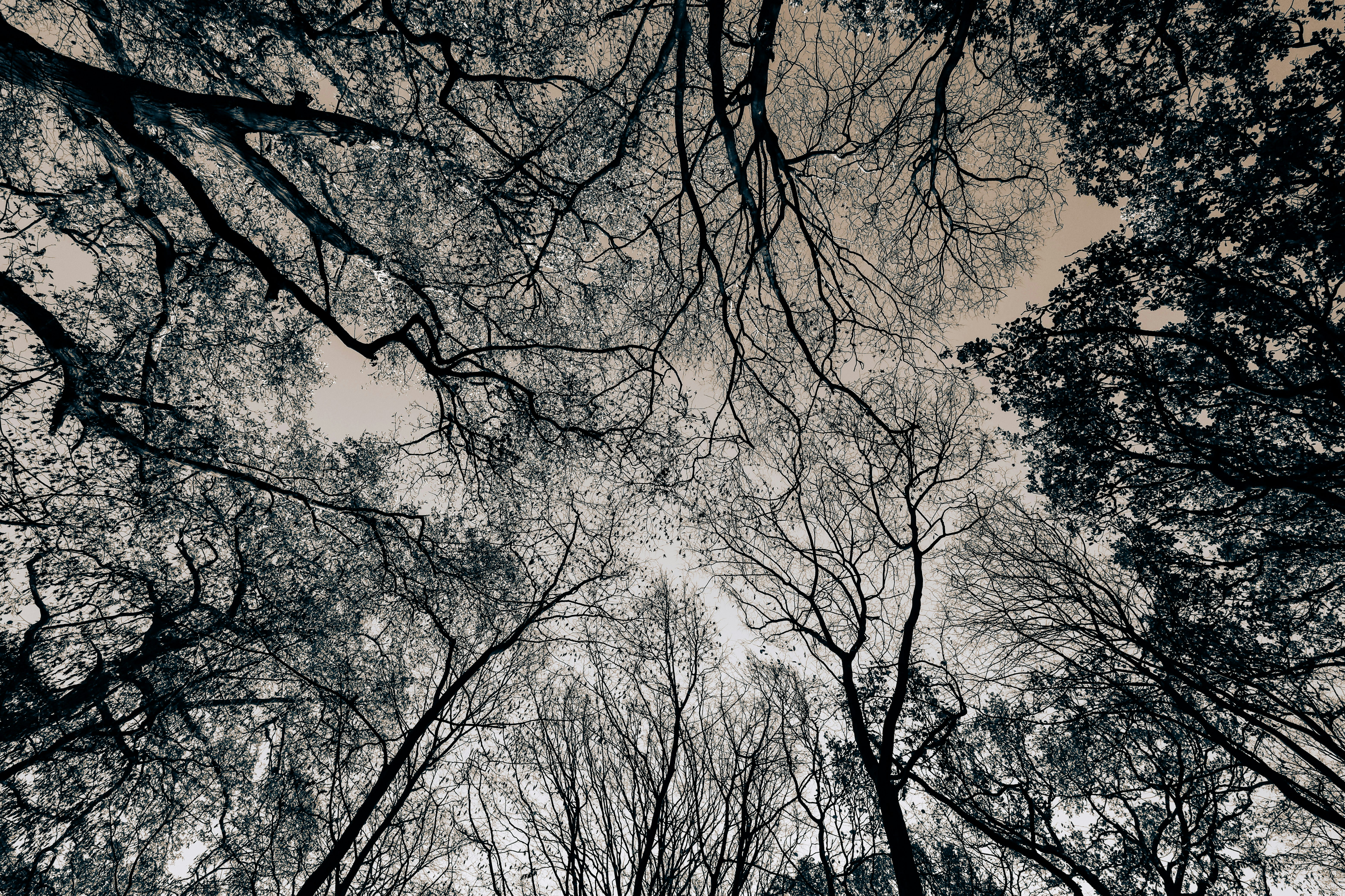 Photo by grievek1610begur