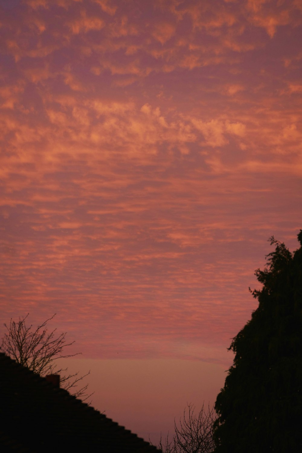 a red sky with some clouds and some trees