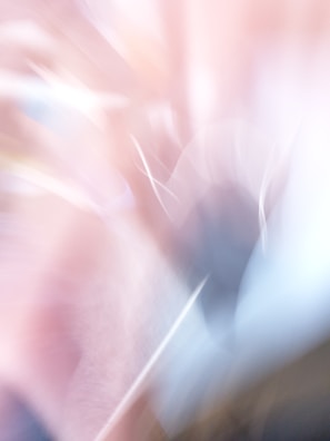 A wall print showcasing a dreamy blend of pastel blobs and delicate lines.