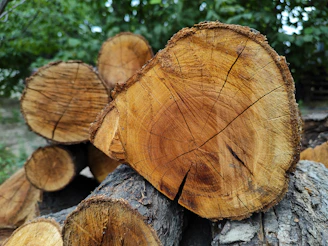 Close-up of cherry wood logs showing rich color and texture, stacked outdoors