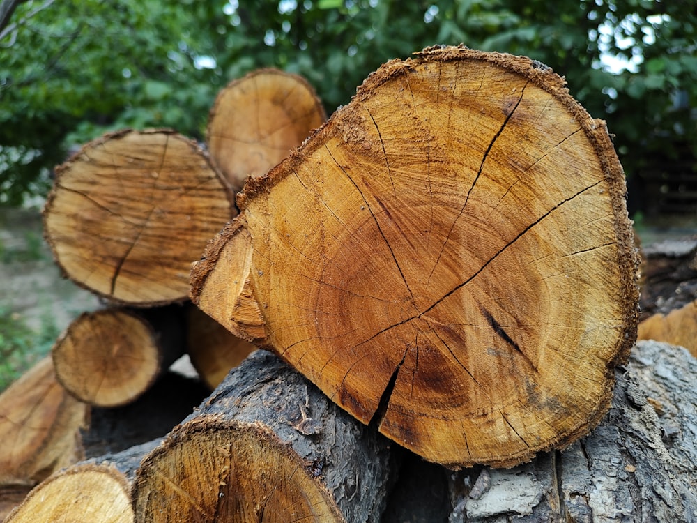 a pile of cut logs sitting next to each other