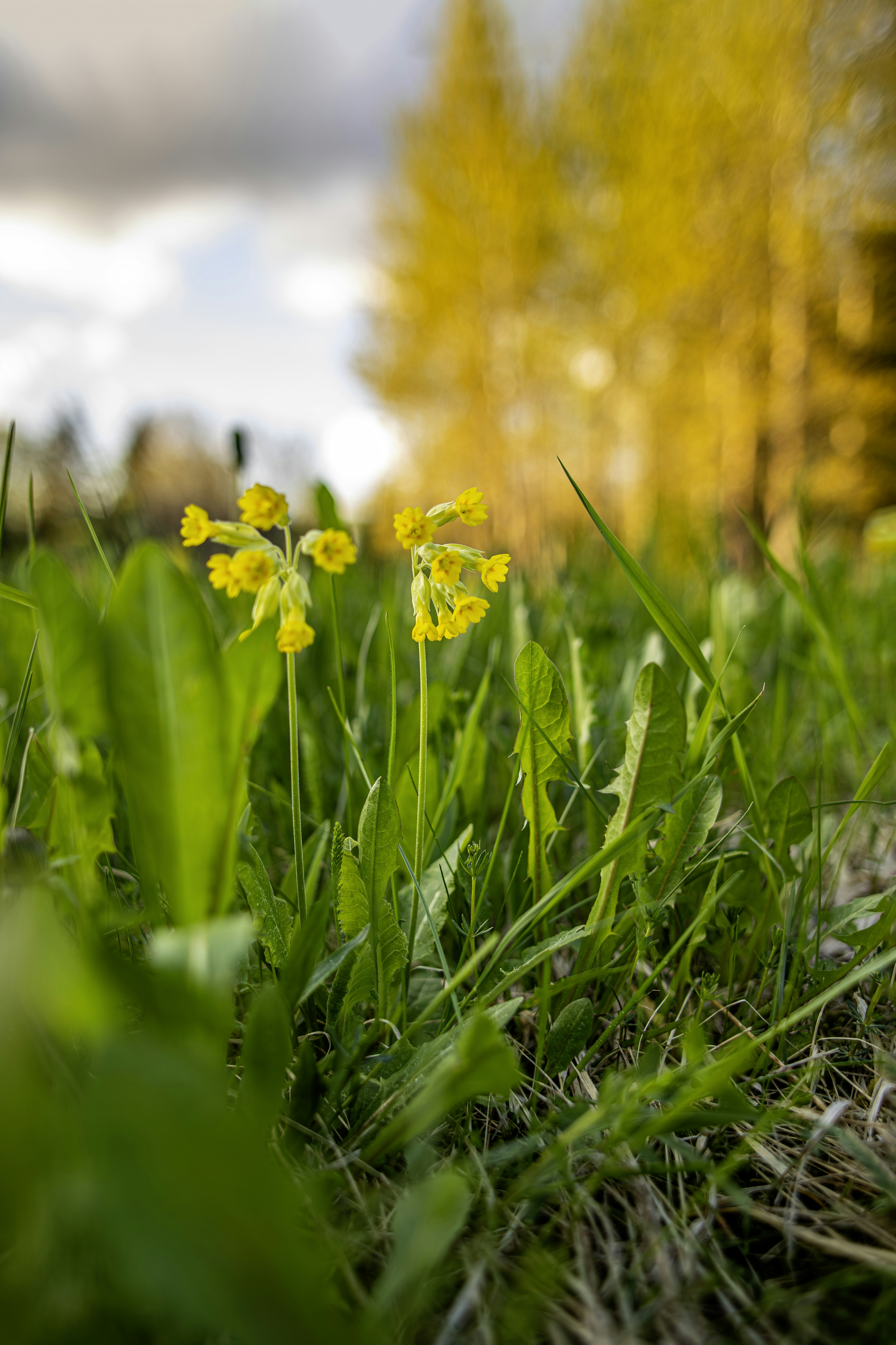 Photo by erik_karits