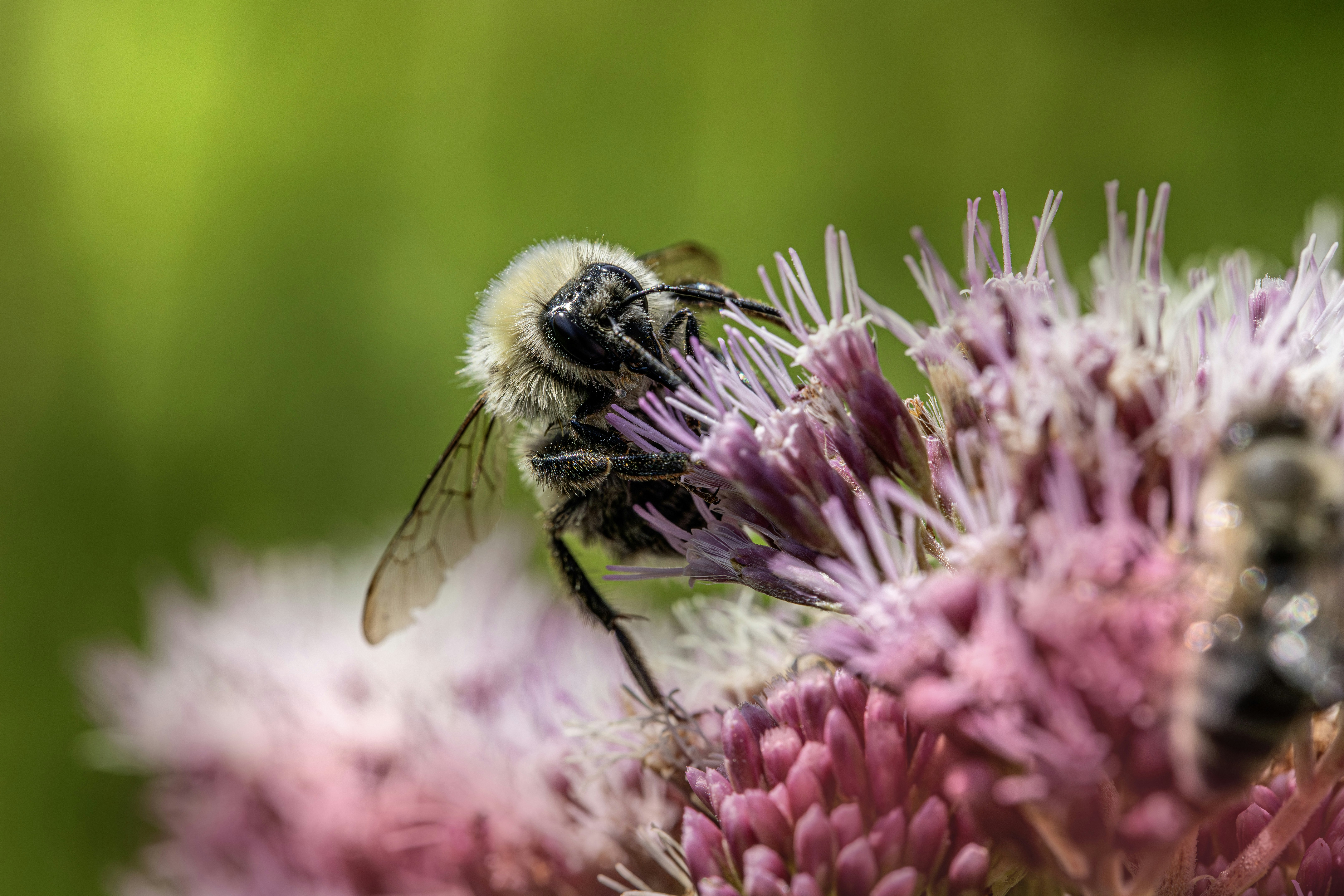 Photo by erik_karits