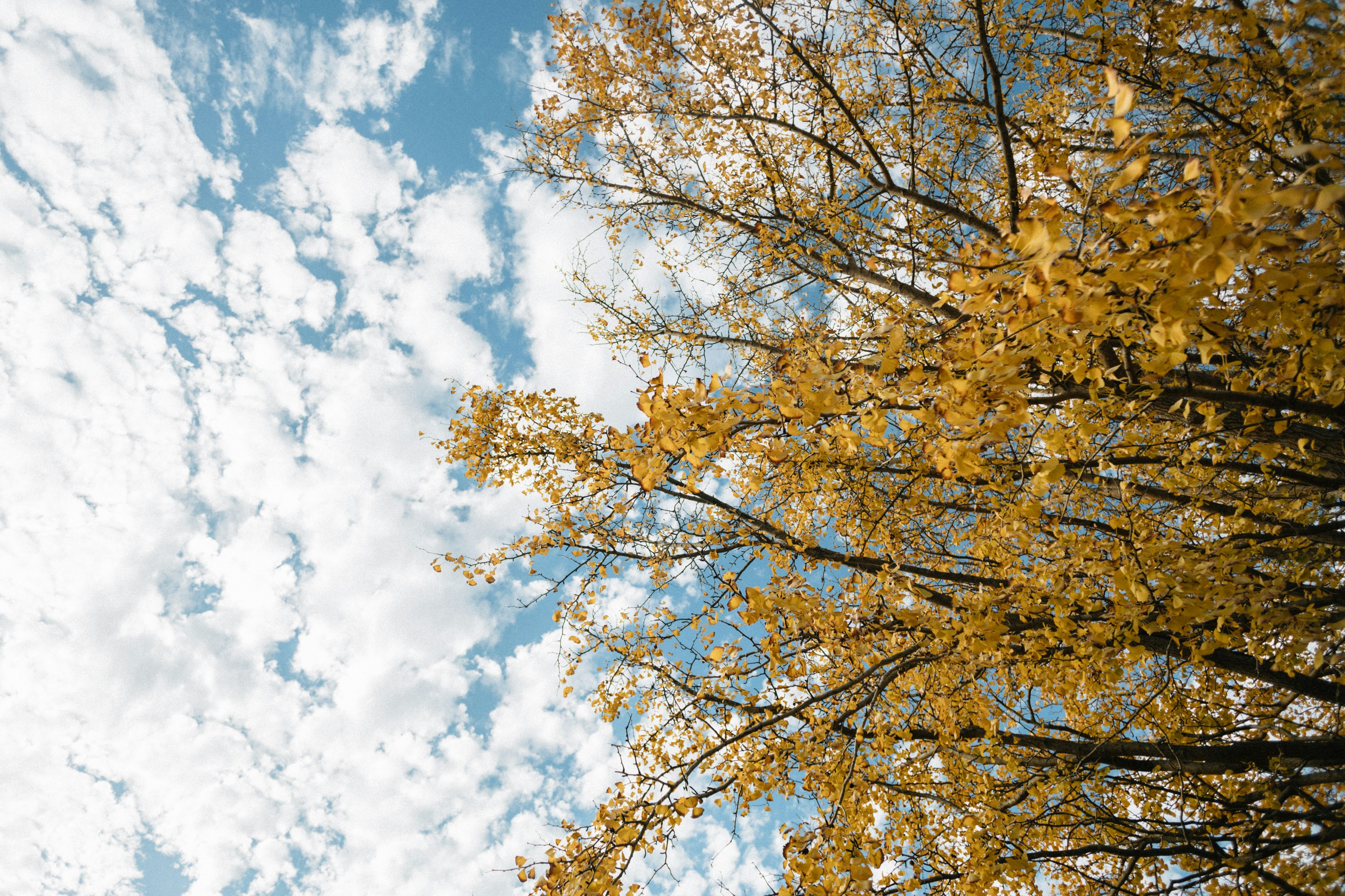 Photo by tsuyoshikozu