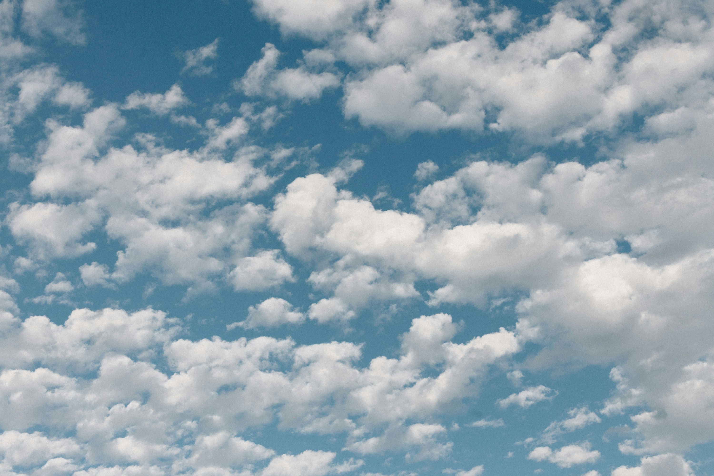 Photo by tsuyoshikozu