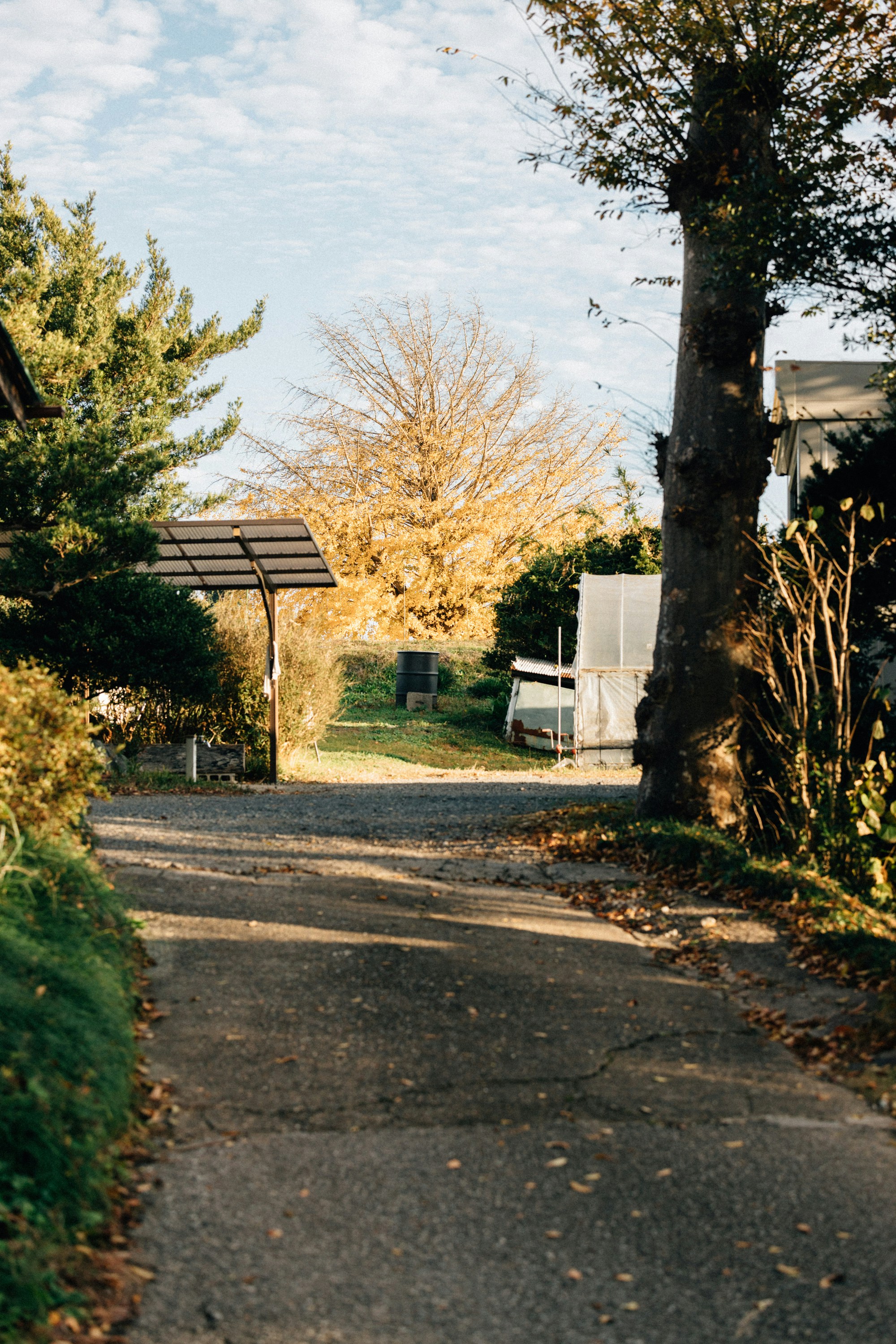 Photo by tsuyoshikozu