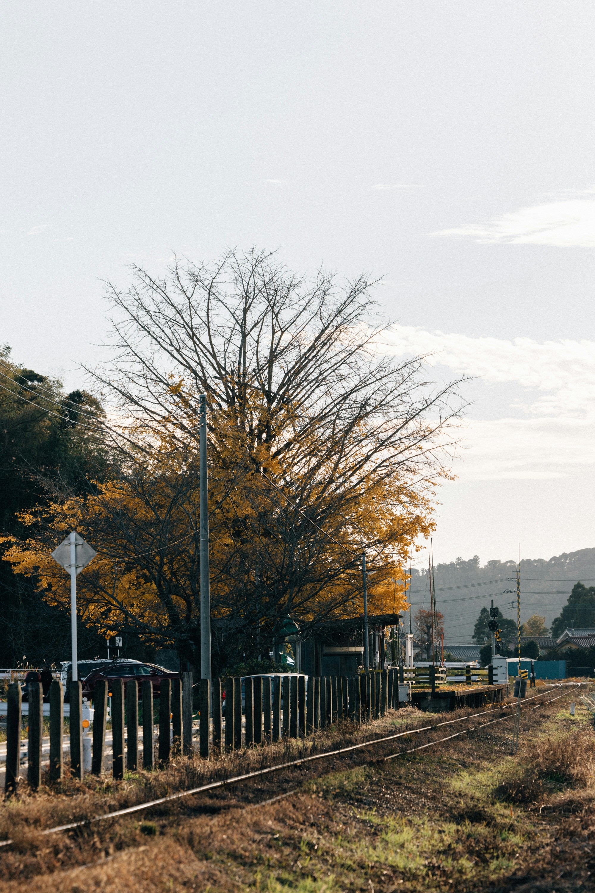 Photo by tsuyoshikozu