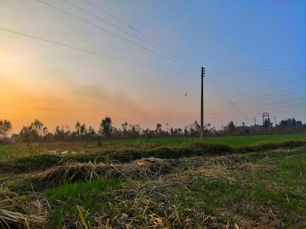 a grassy field with power lines in the distance