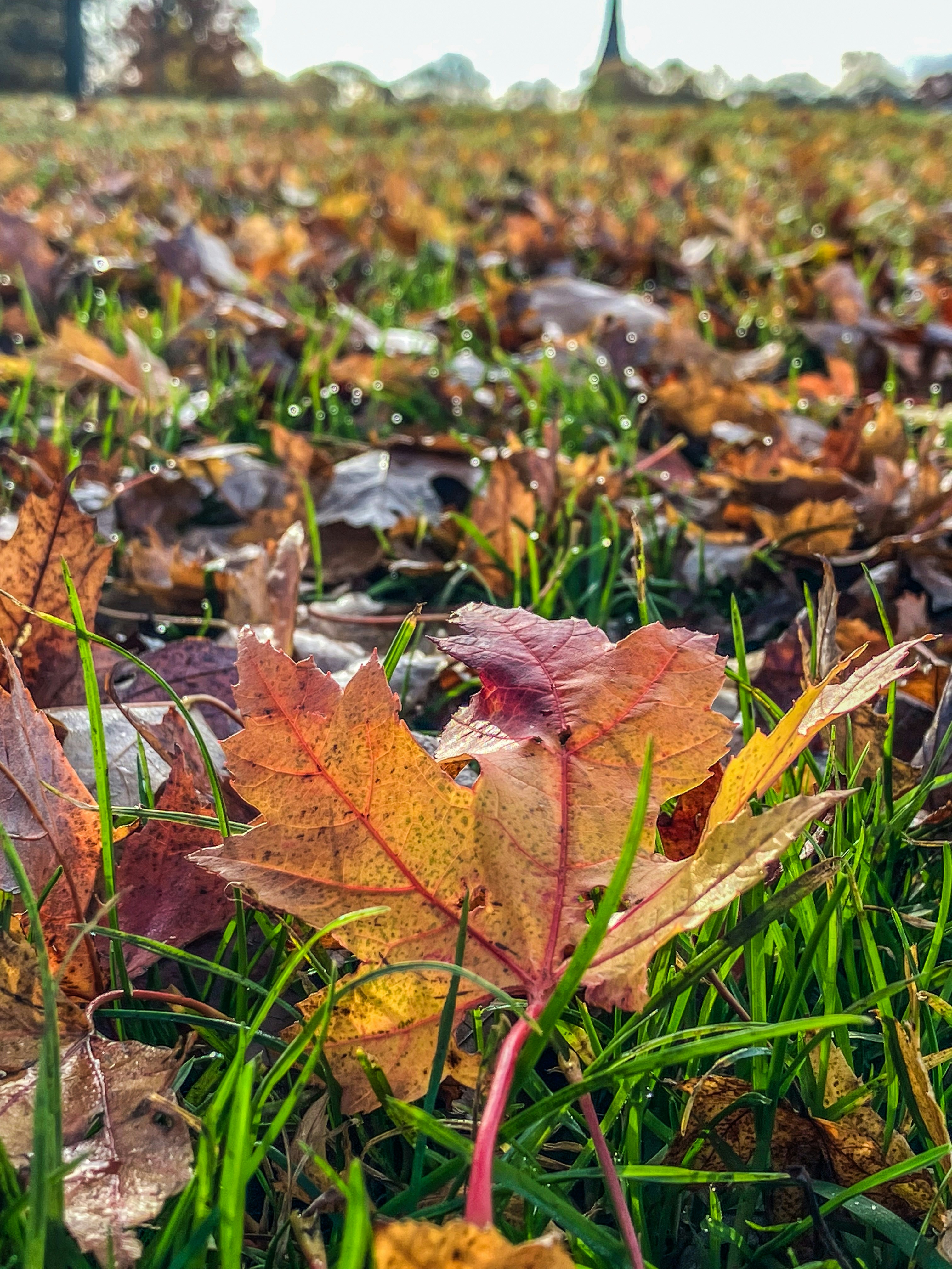 Photo by cicicarreira