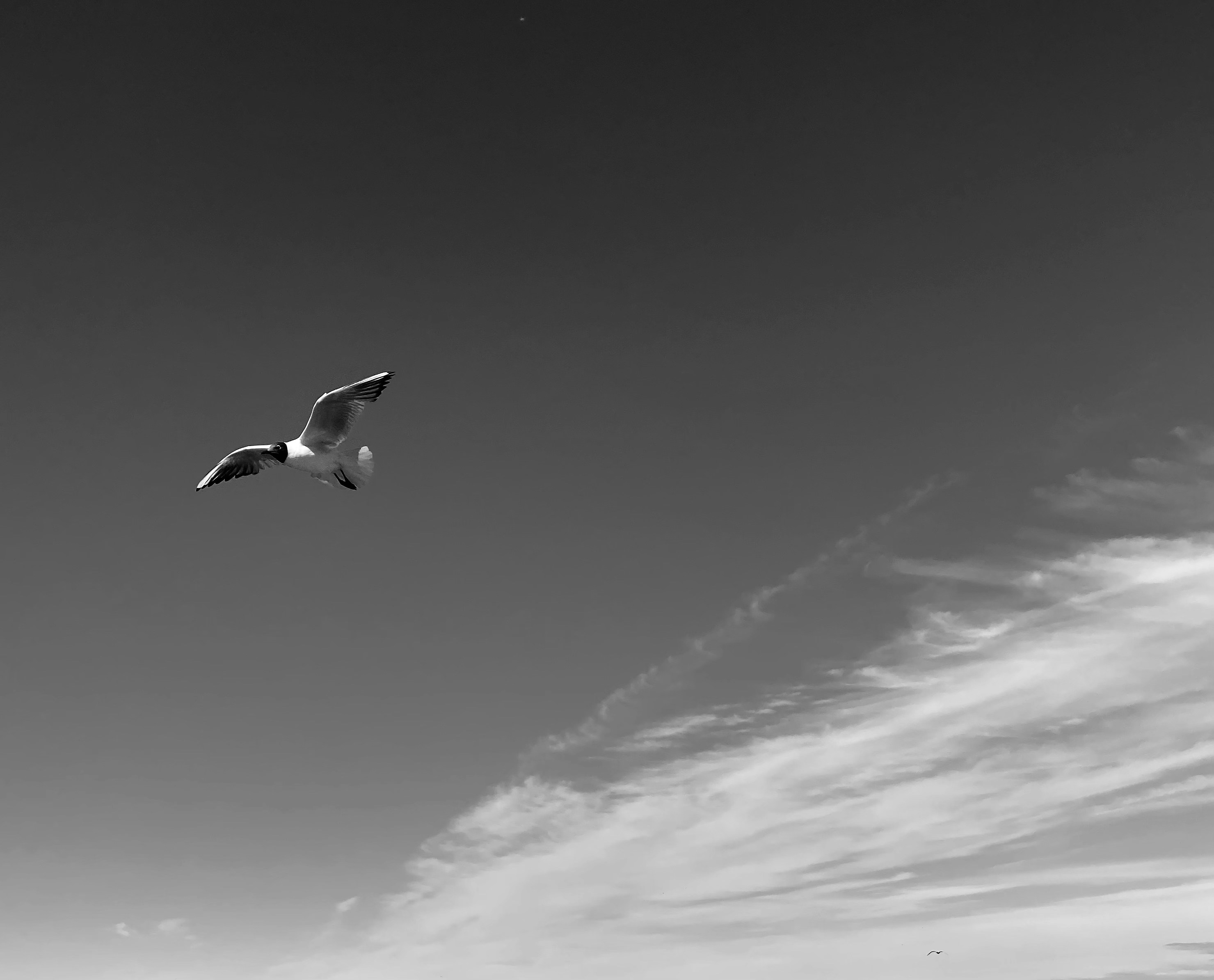 Photo by alexanderkastuev