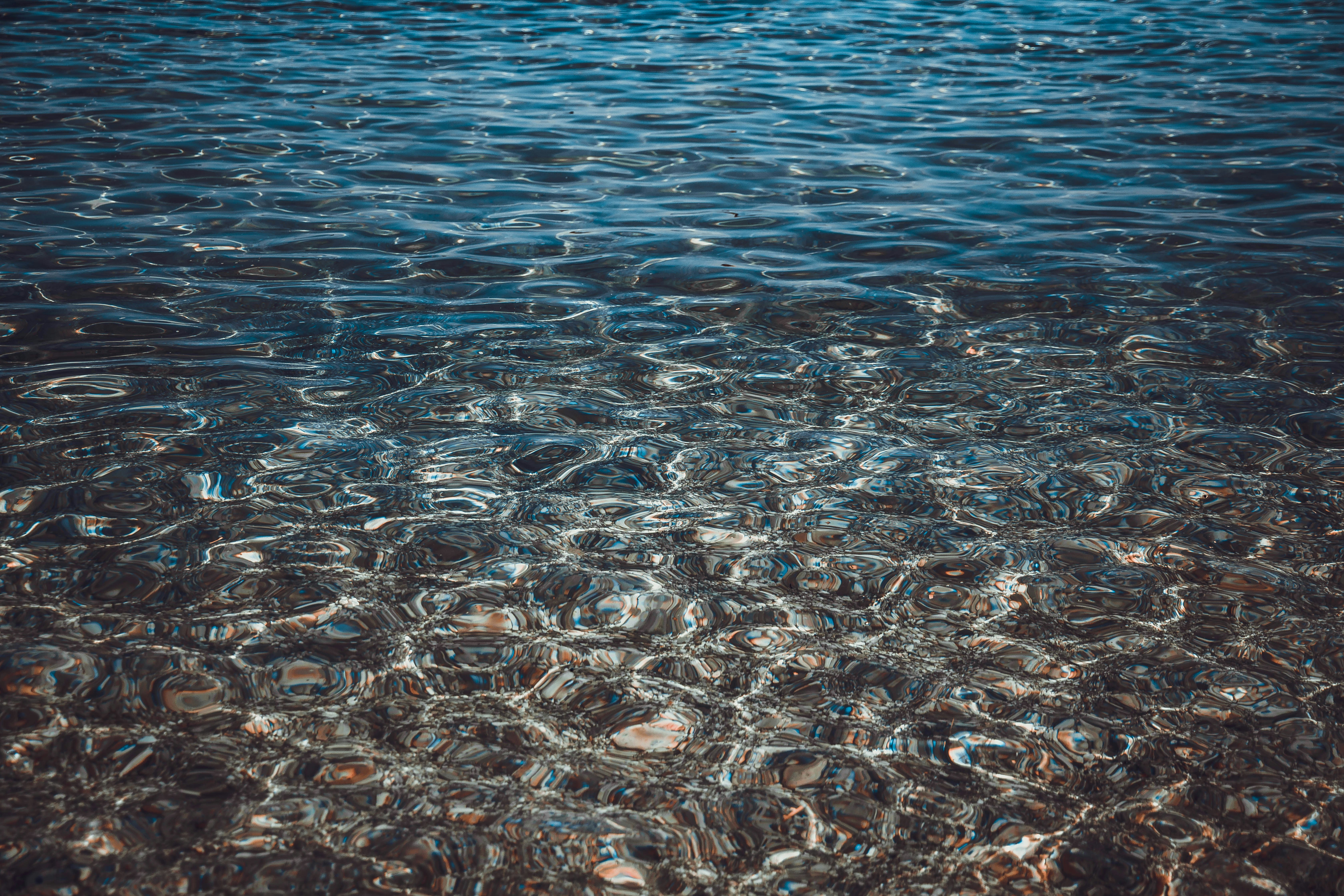 Ποια είναι τα πιο αγενή ζώδια: Είναι αυθόρμητοι, απόλυτοι και δεν σκέφτονται πριν μιλήσουν - unsplash