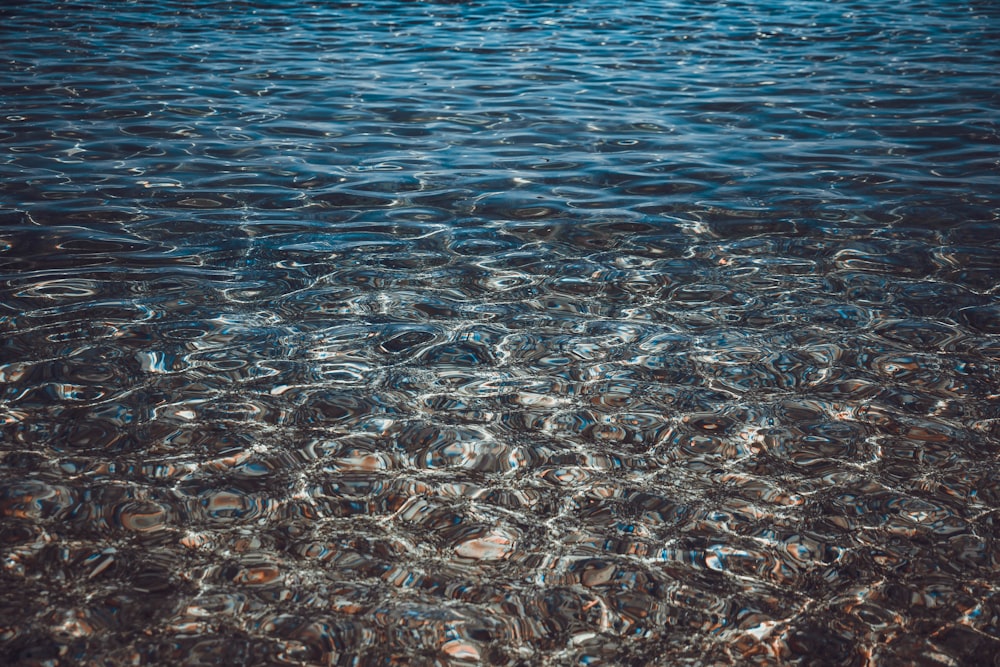 a body of water that has a bunch of bubbles in it