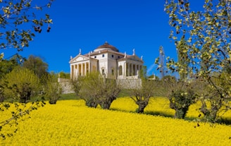 a large white building sitting on top of a lush green field