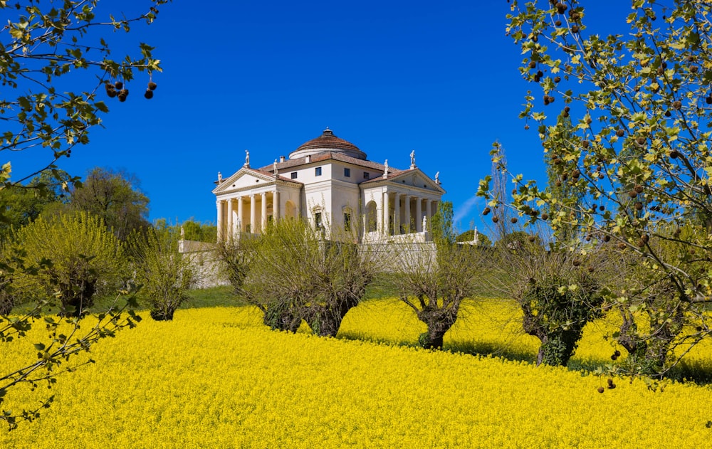 a large white building sitting on top of a lush green field