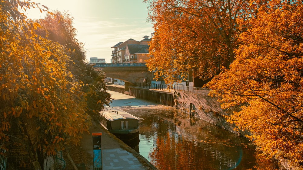 a river with a boat in it surrounded by trees