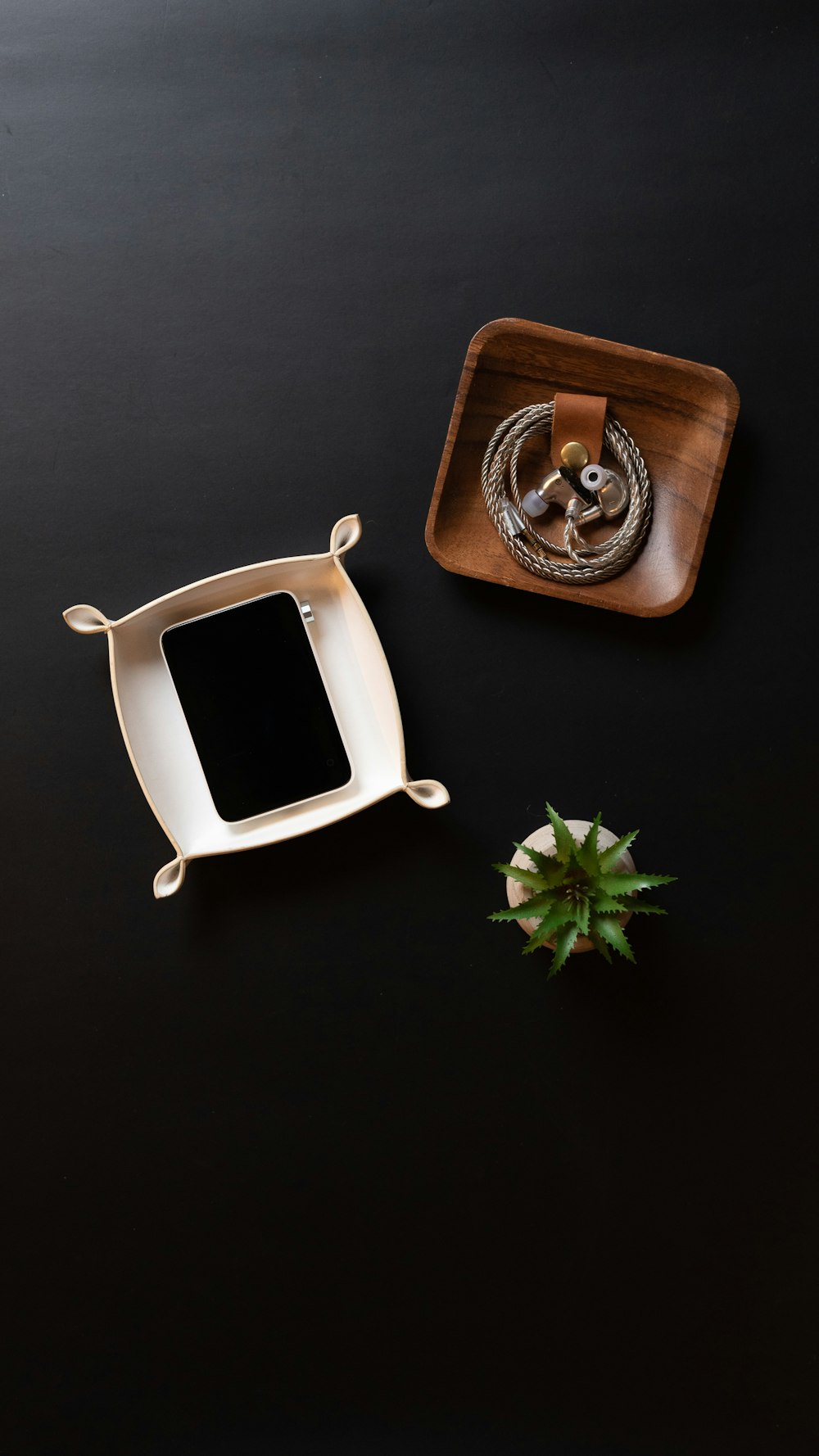 a black table with a wooden tray and a small plant
