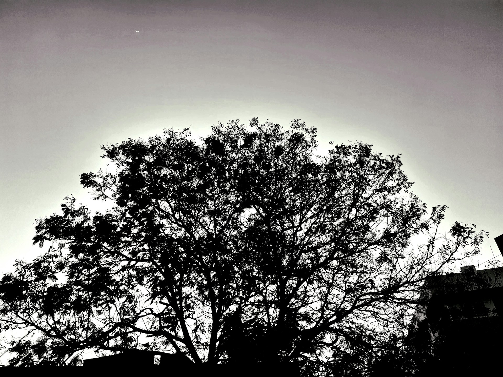 gray computer monitor