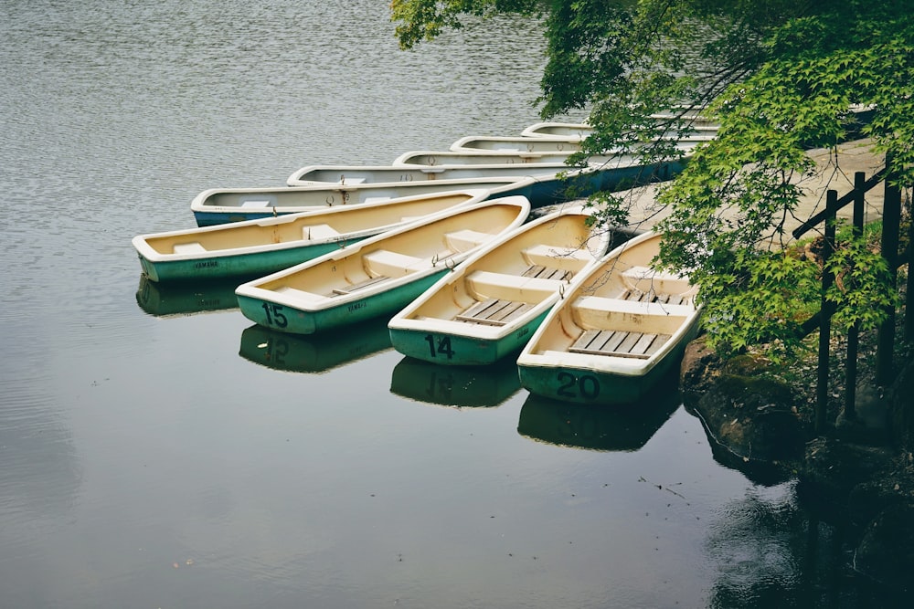 a row of row boats sitting on top of a lake