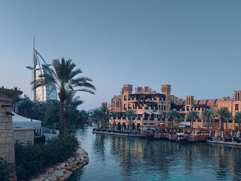 a body of water surrounded by buildings and palm trees
