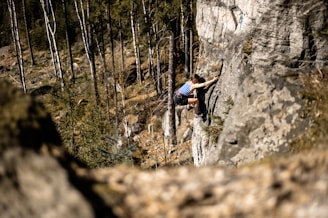 Close-up of climber gripping a rock face with safety gear in a forested area.